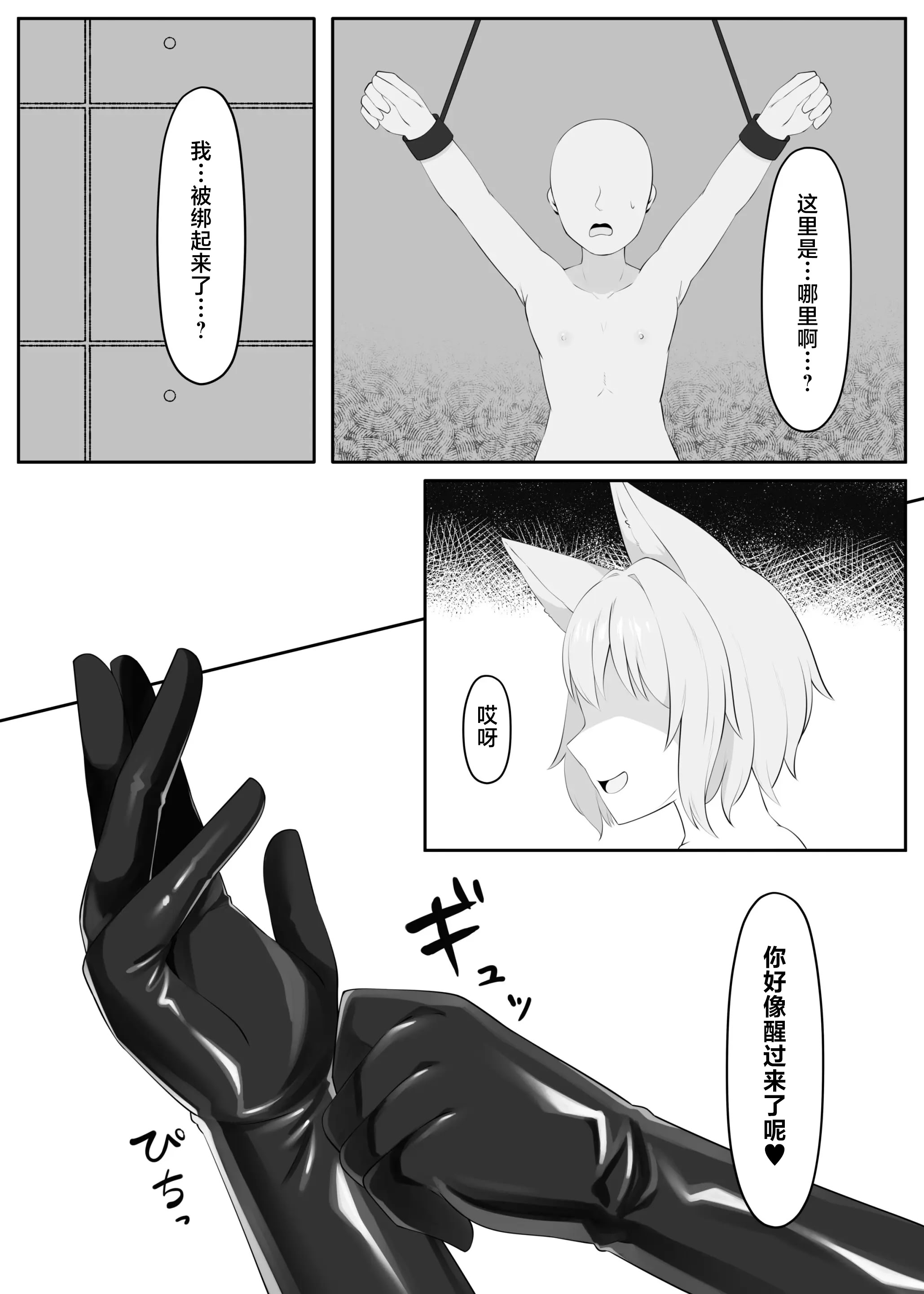[日本漫画] 手袋によるマゾチンポ快楽虐待 ｜ 快楽虐待 戴手套调教：抖M肉棒的快感虐待 [Chinese][MTL] 单本,兽耳,丝袜#[10P]-3