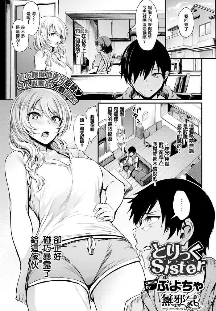 [日本漫画] とりっくSister 单本,巨乳大奶,不伦