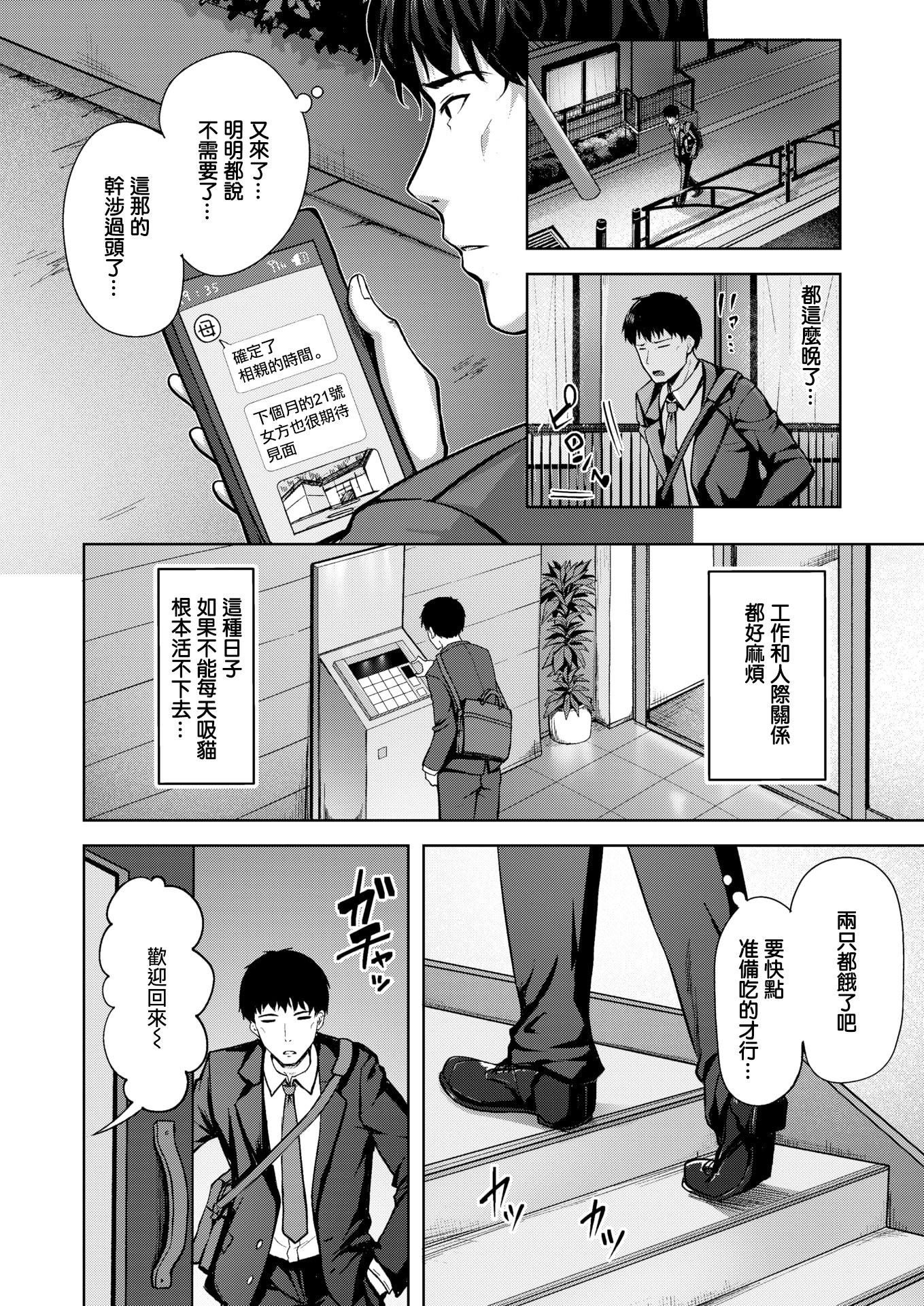 [日本漫画] [にこびぃ] アメリとモカ (COMIC 快楽天ビースト 2026年2月号) [DL版] 单本,巨乳大奶,兽耳,后宫,猫女#[28P]-2