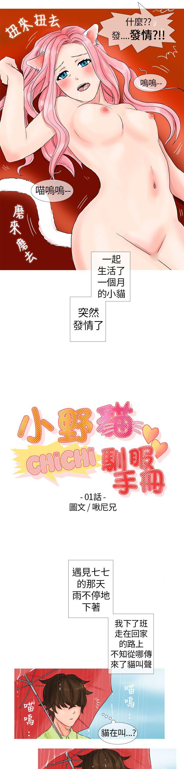 [韩国漫画] 小野猫驯服手册 奇幻,巨乳大奶#[12P]-3