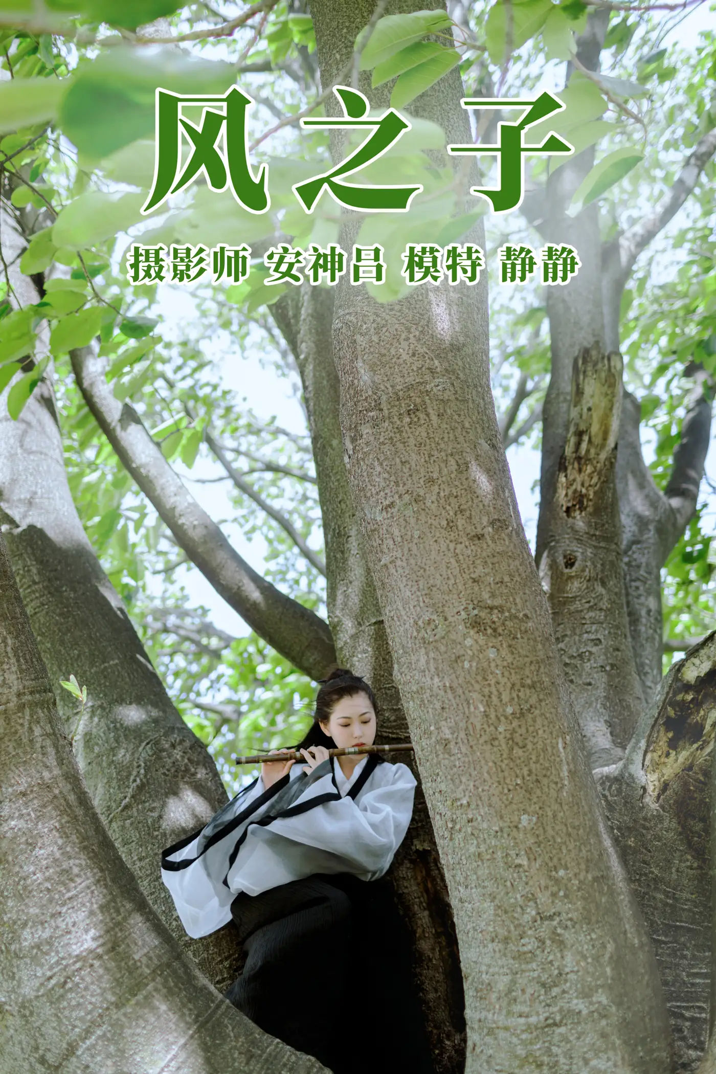 [艺图语] 2021.06.09 Vol.070 – 风之子 静静