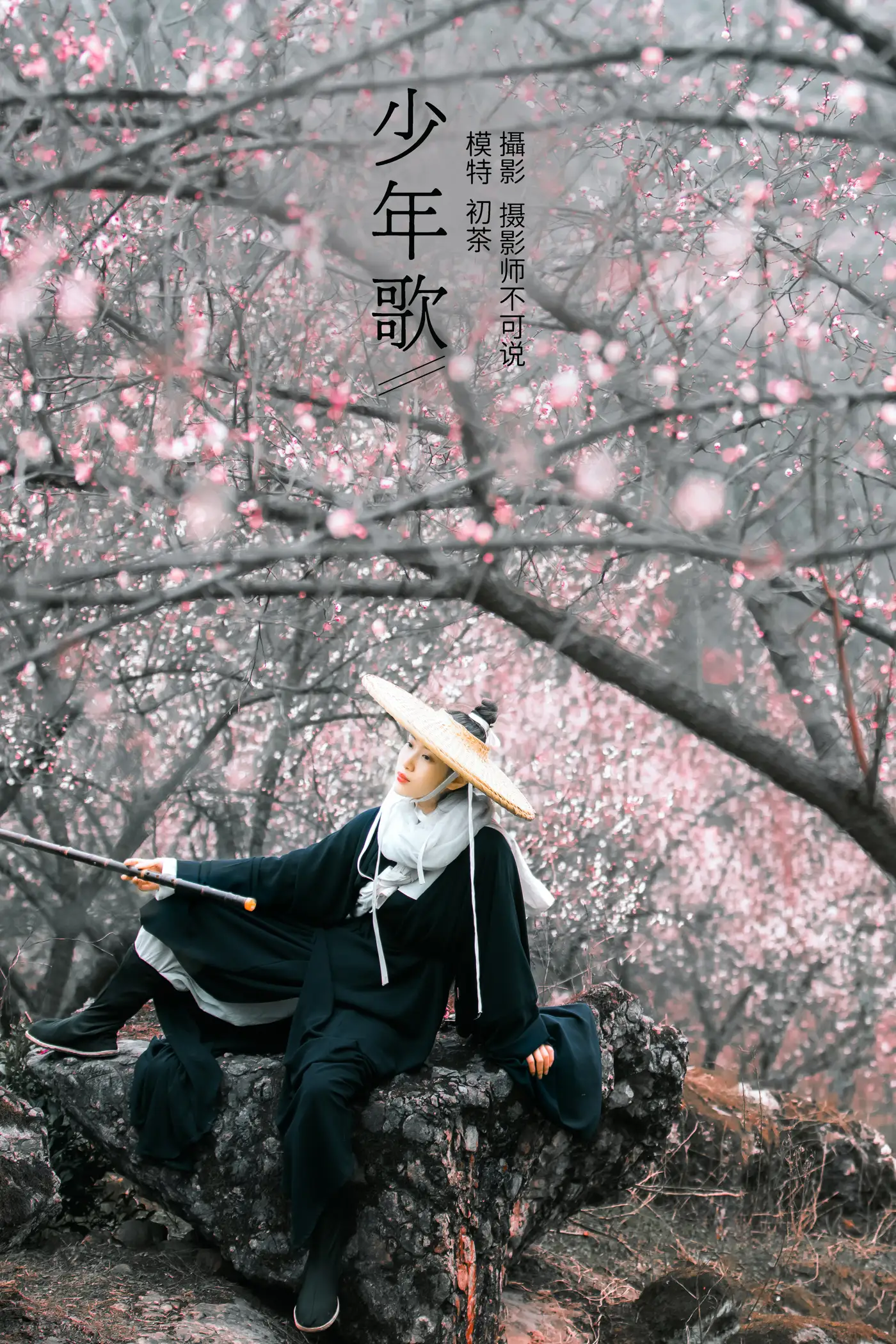 [艺图语] 2021.12.16 Vol.495 – 少年歌 初茶