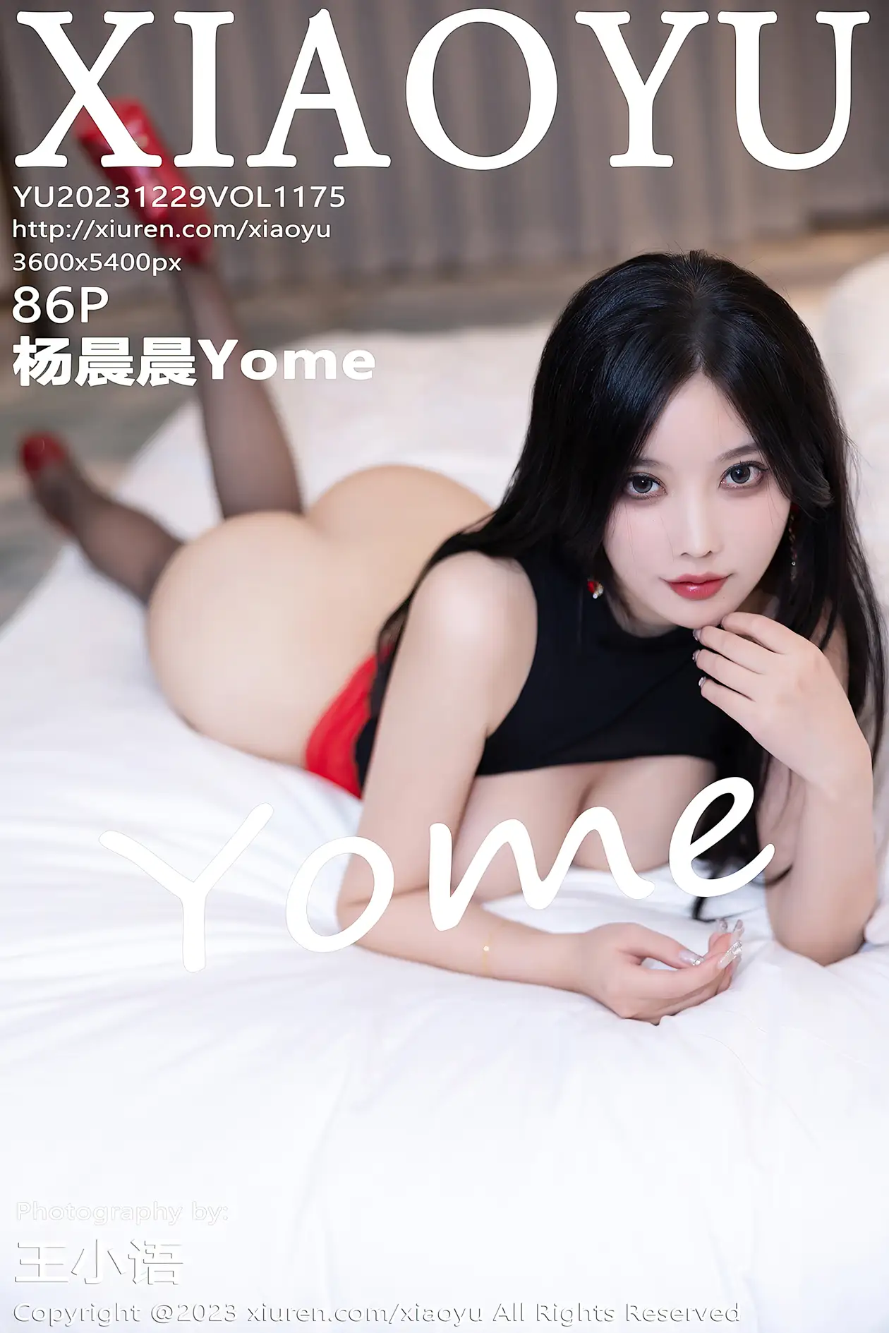 2023.12.29 VOL.1175