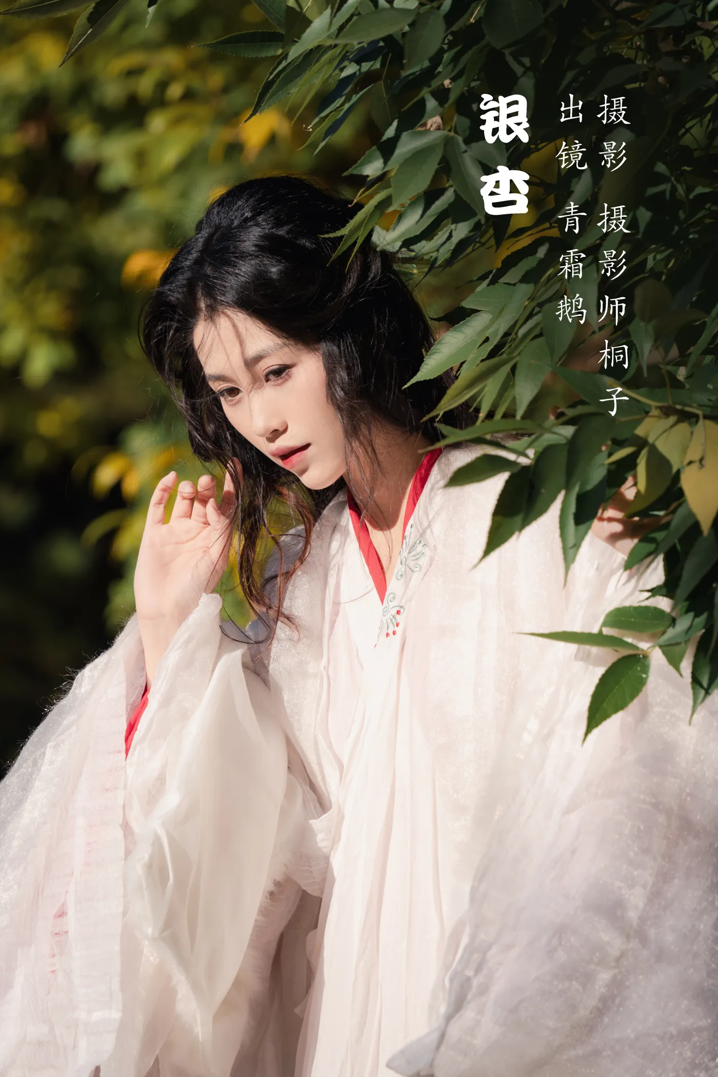 [艺图语] 2022.11.30 Vol.2568 – 银杏 青霜鹅