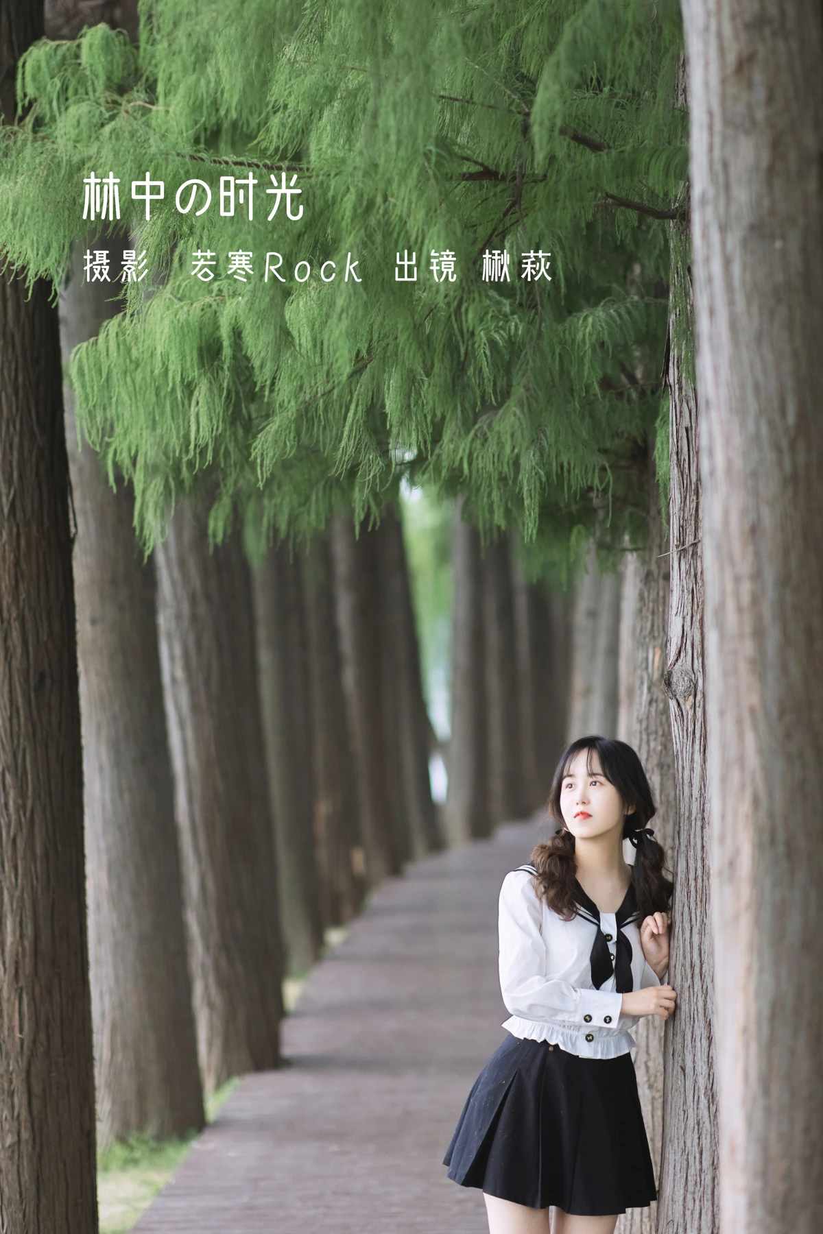 [艺图语] 2022.12.23 Vol.2738 – 林中の时光 楸萩