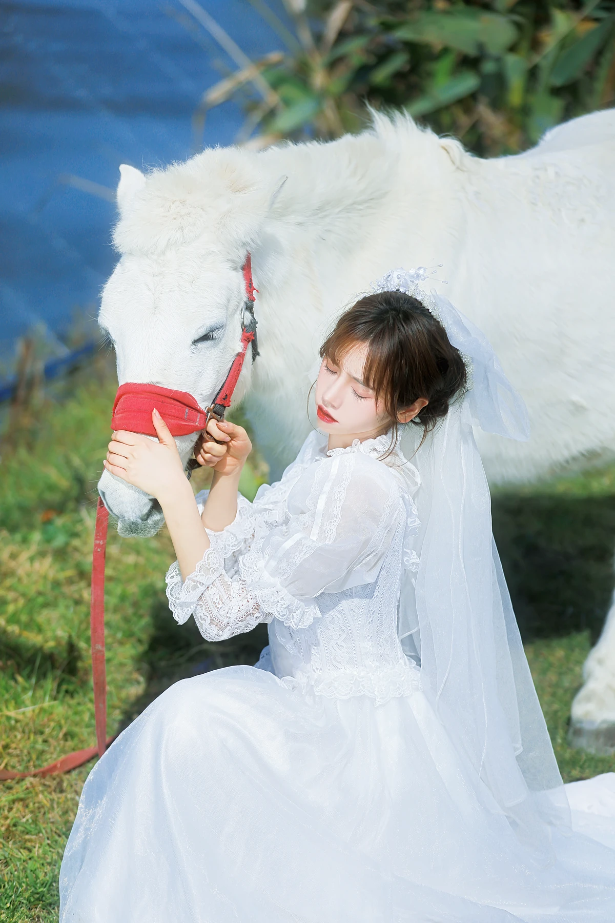 [艺图语] 2023.01.08 Vol.2867 – 桑桑，我带你回家。 林木婷子#[23P]-3