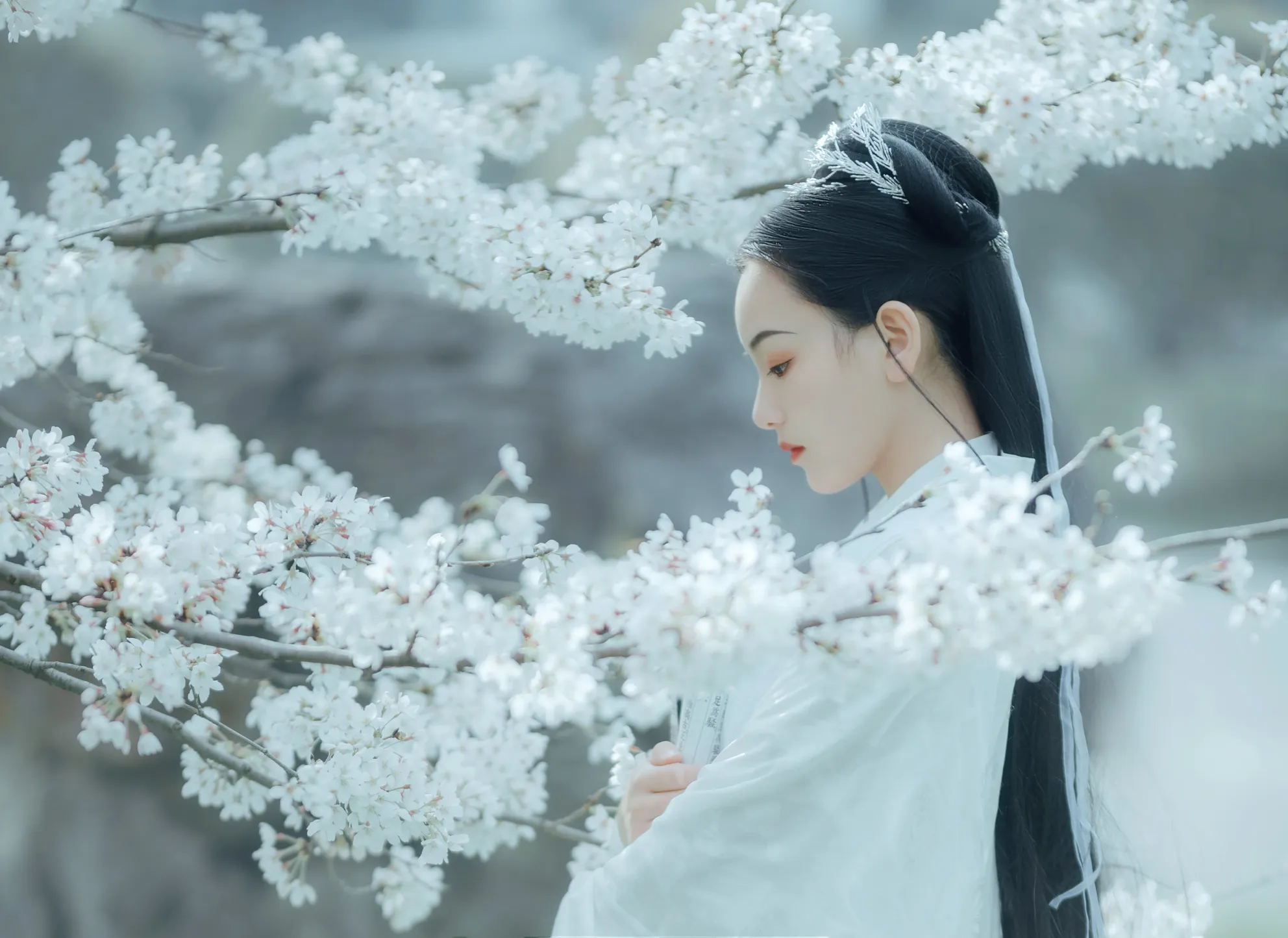 [艺图语] 2022.12.06 Vol.2613 – 樱吹雪 穆婕#[25P]-3