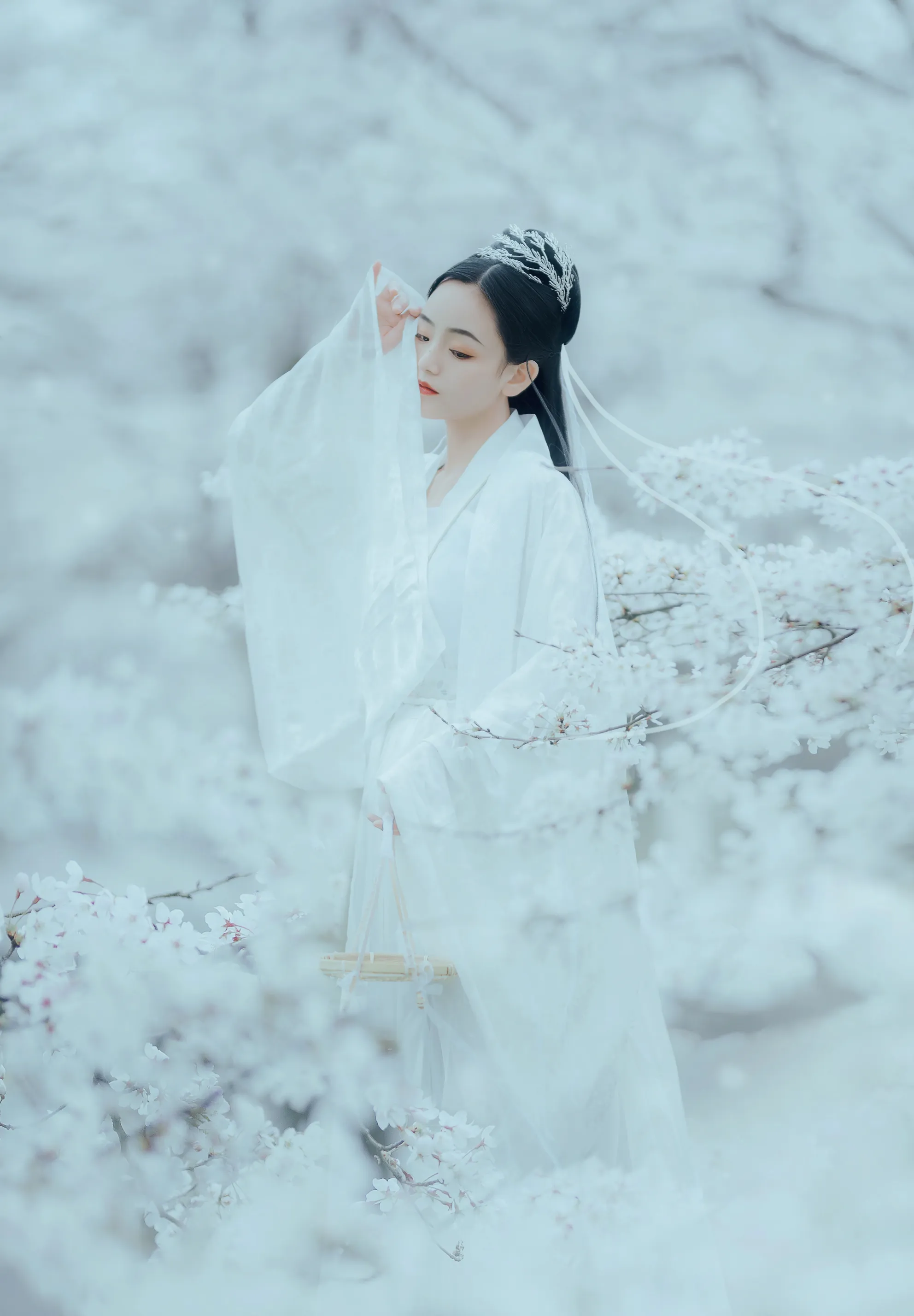 [艺图语] 2022.12.06 Vol.2613 – 樱吹雪 穆婕#[25P]-6