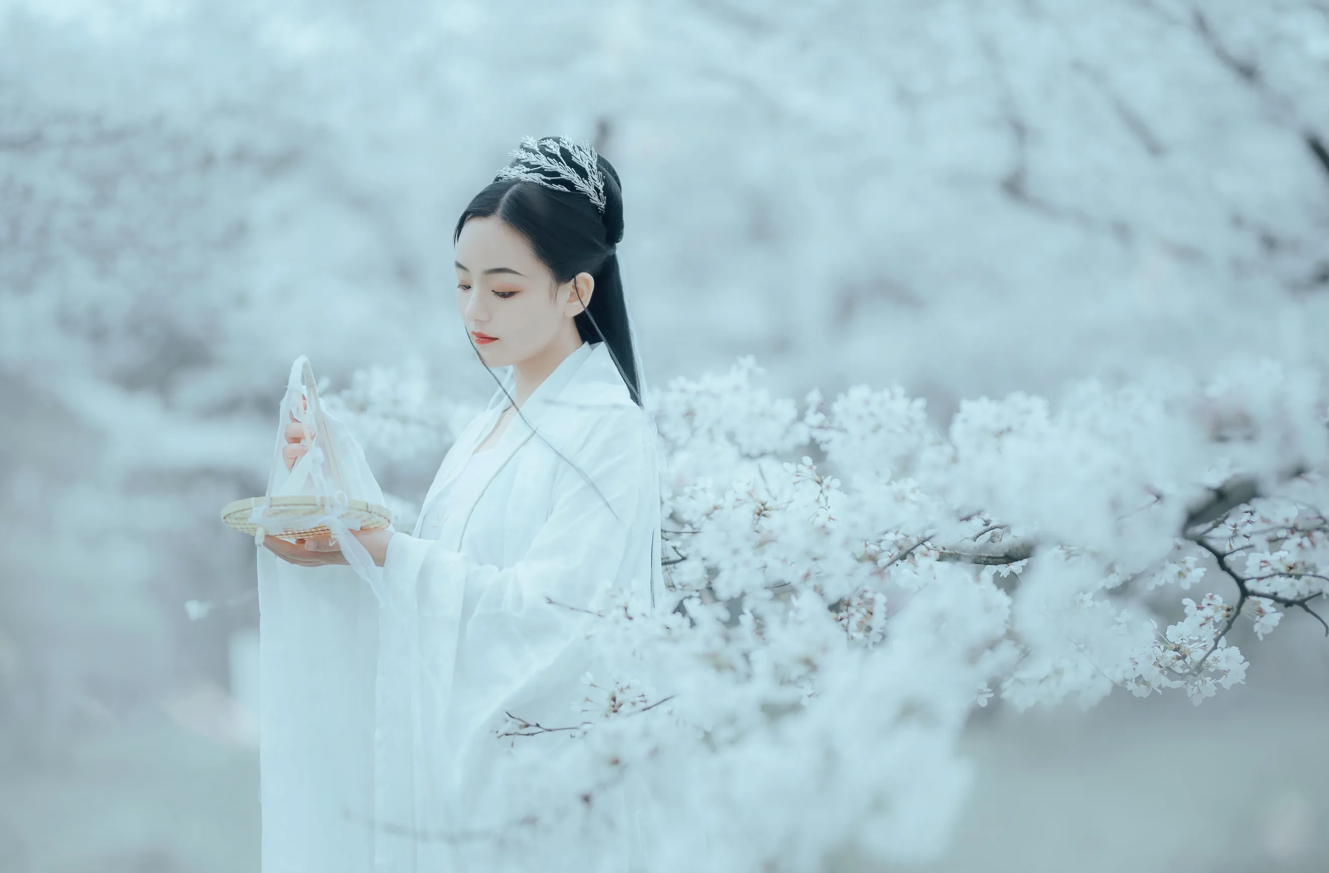[艺图语] 2022.12.06 Vol.2613 – 樱吹雪 穆婕#[25P]-7