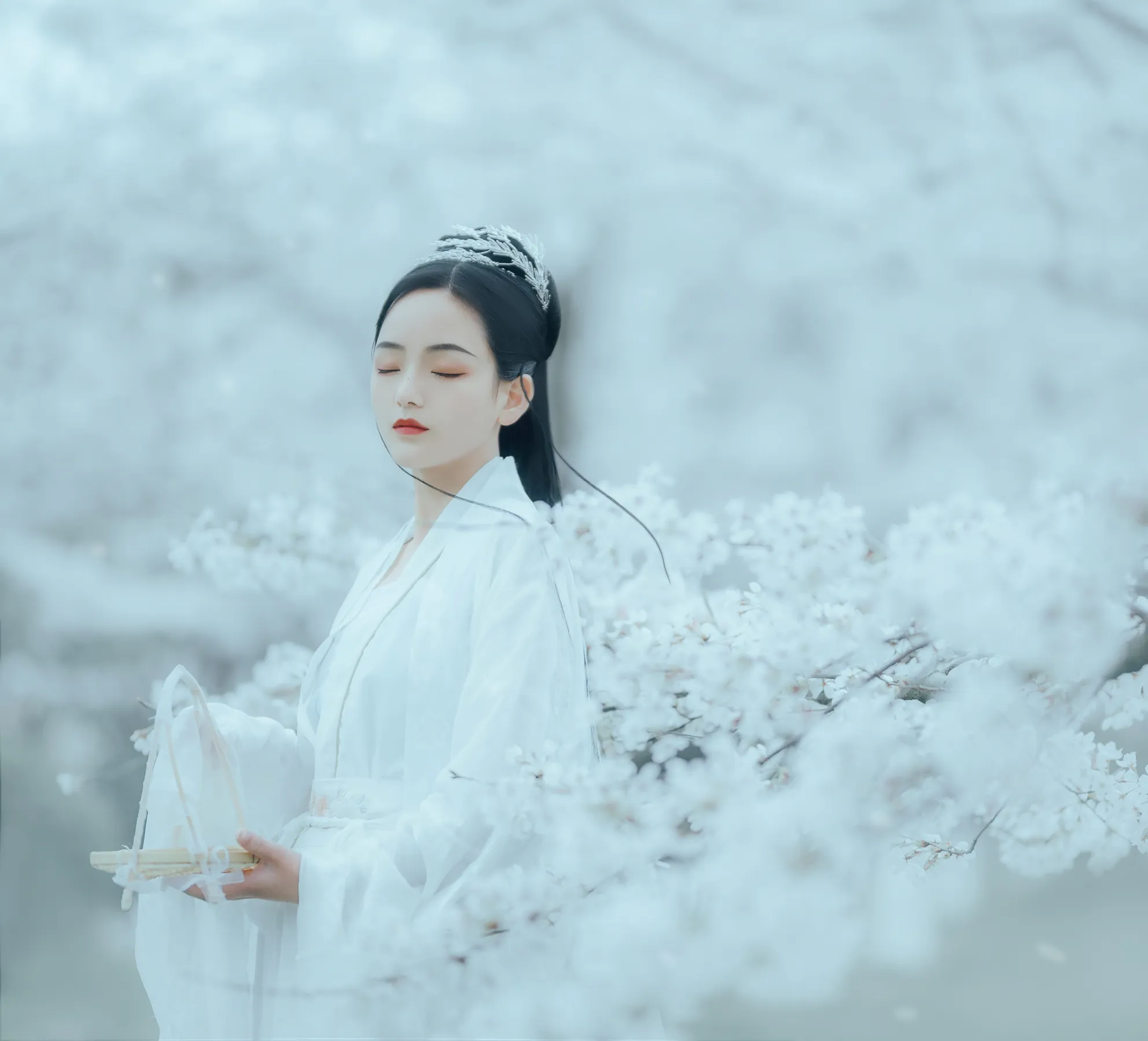 [艺图语] 2022.12.06 Vol.2613 – 樱吹雪 穆婕#[25P]-8