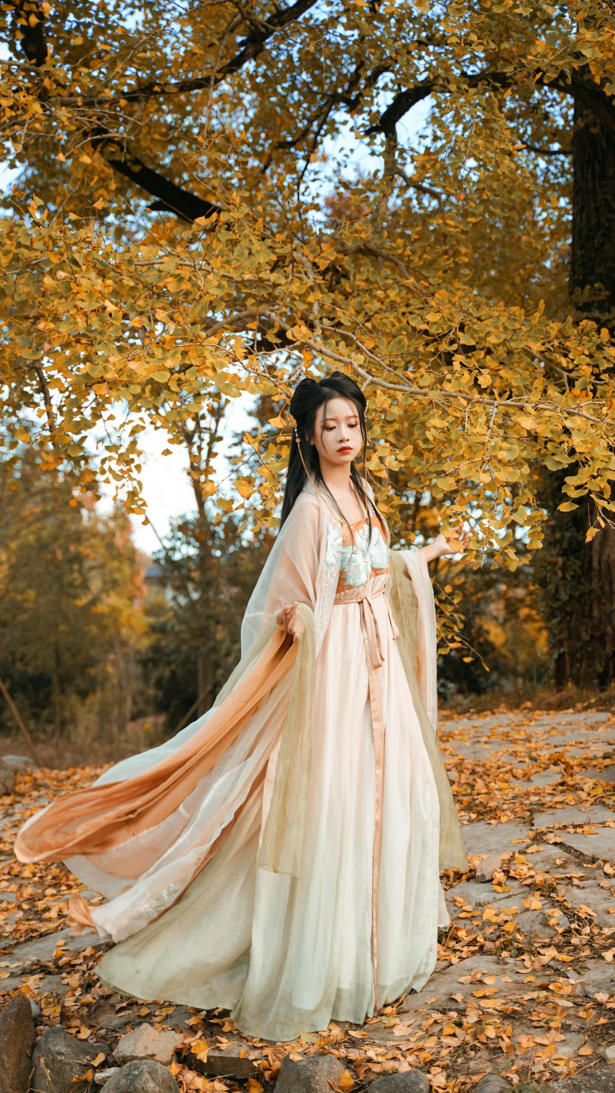 [艺图语] 2022.12.12 Vol.2664 – 银杏树下 旺旺小小舒#[39P]-19