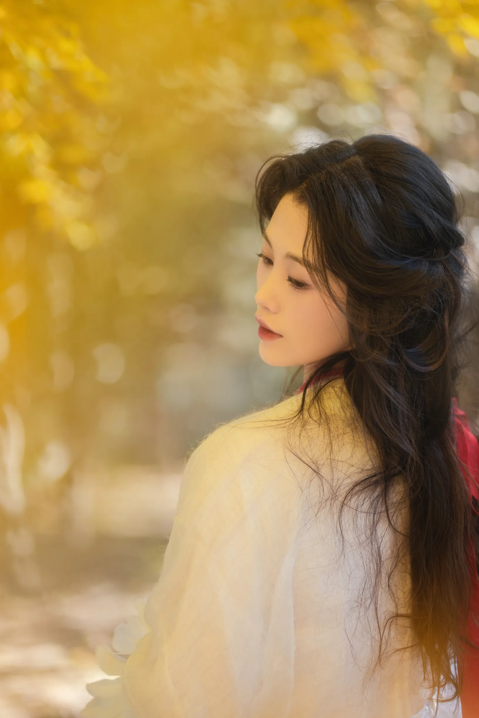 [艺图语] 2022.11.30 Vol.2568 – 银杏 青霜鹅#[26P]-11