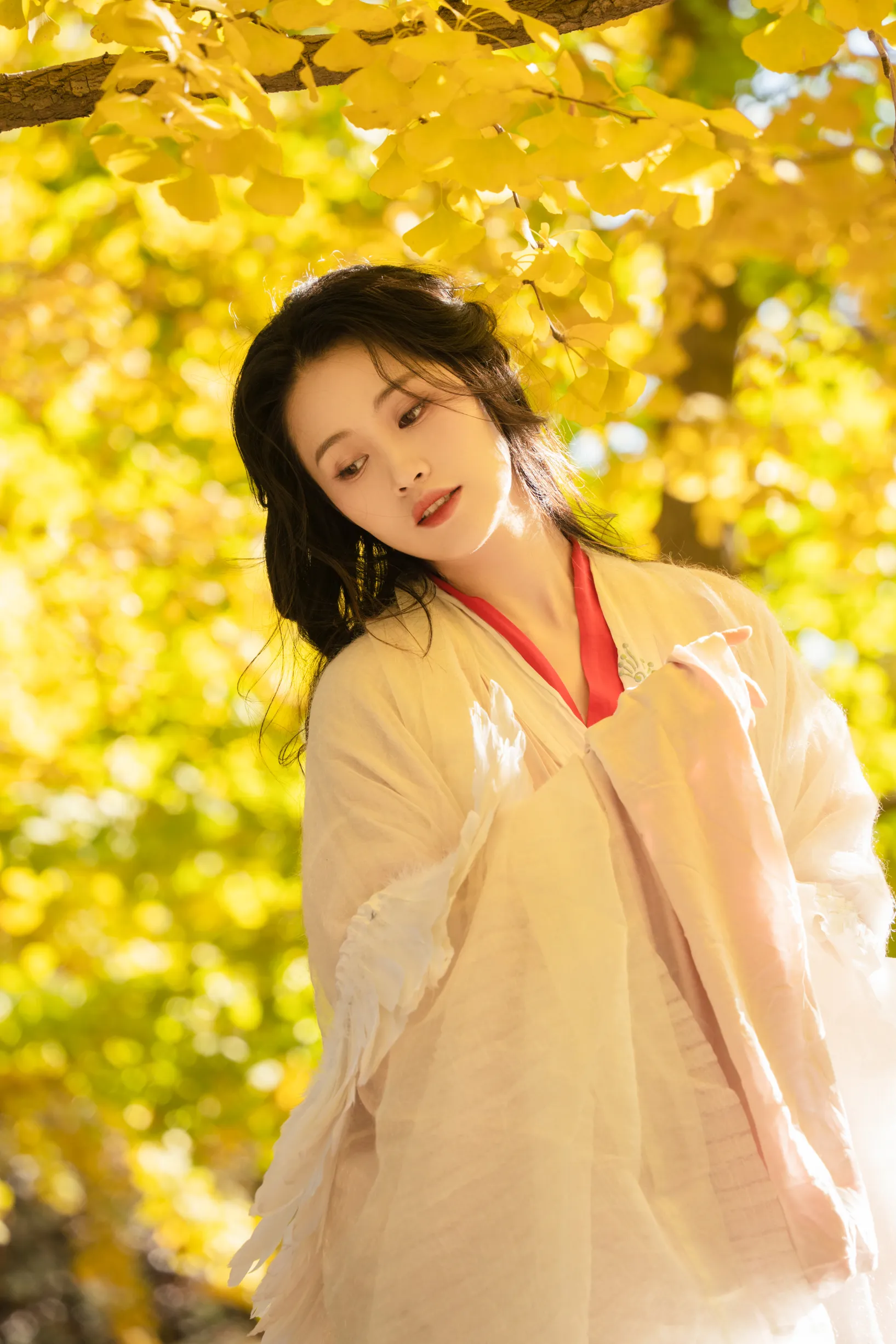 [艺图语] 2022.11.30 Vol.2568 – 银杏 青霜鹅#[26P]-12