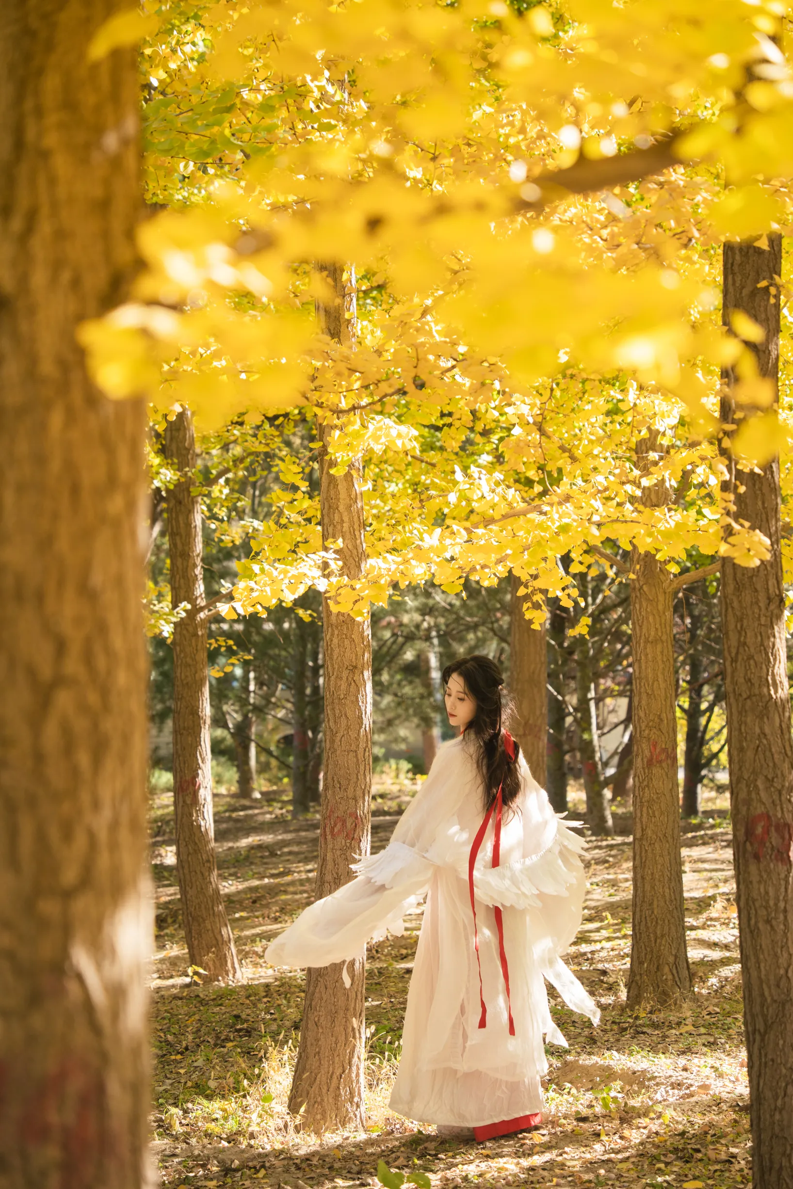 [艺图语] 2022.11.30 Vol.2568 – 银杏 青霜鹅#[26P]-14