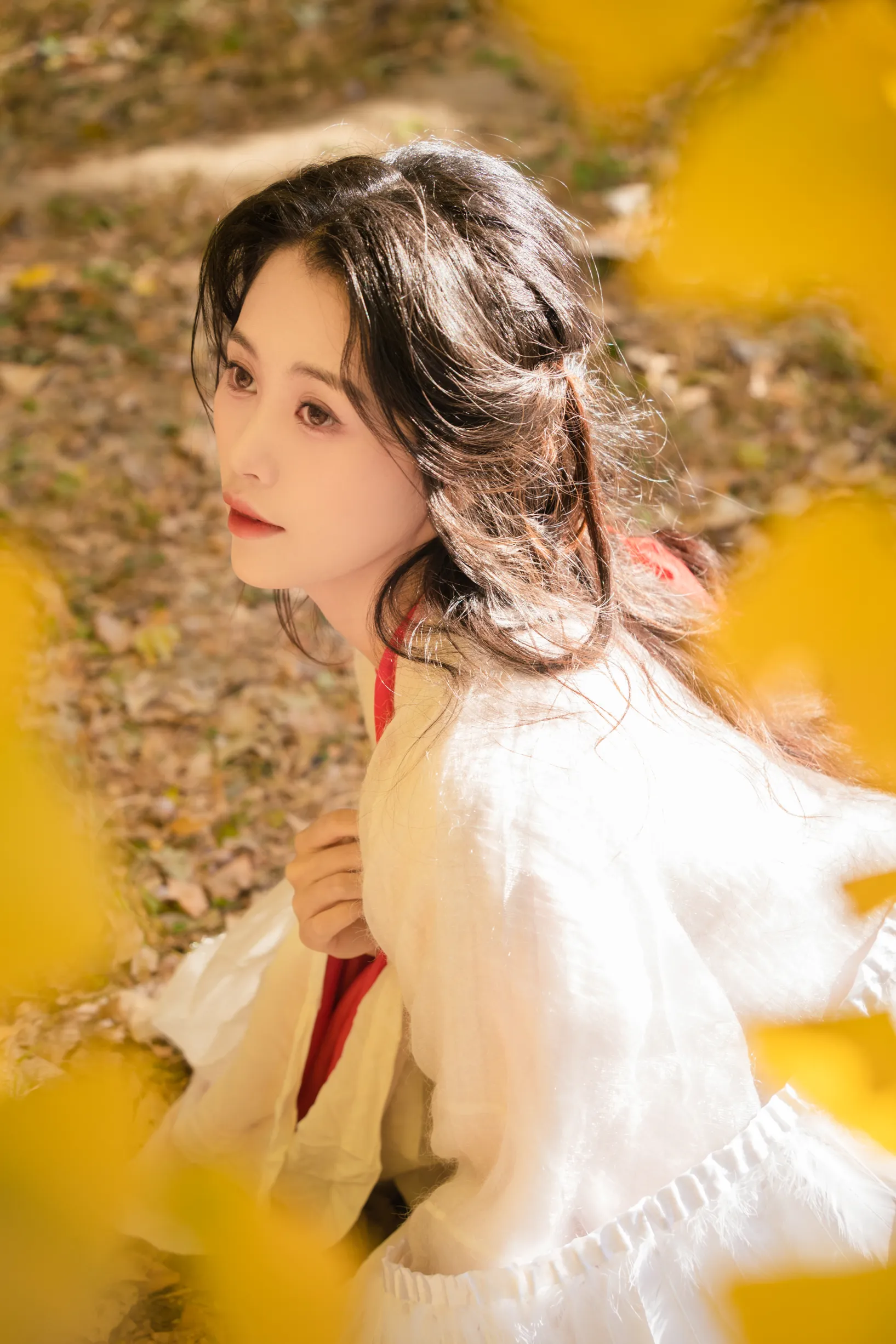[艺图语] 2022.11.30 Vol.2568 – 银杏 青霜鹅#[26P]-16