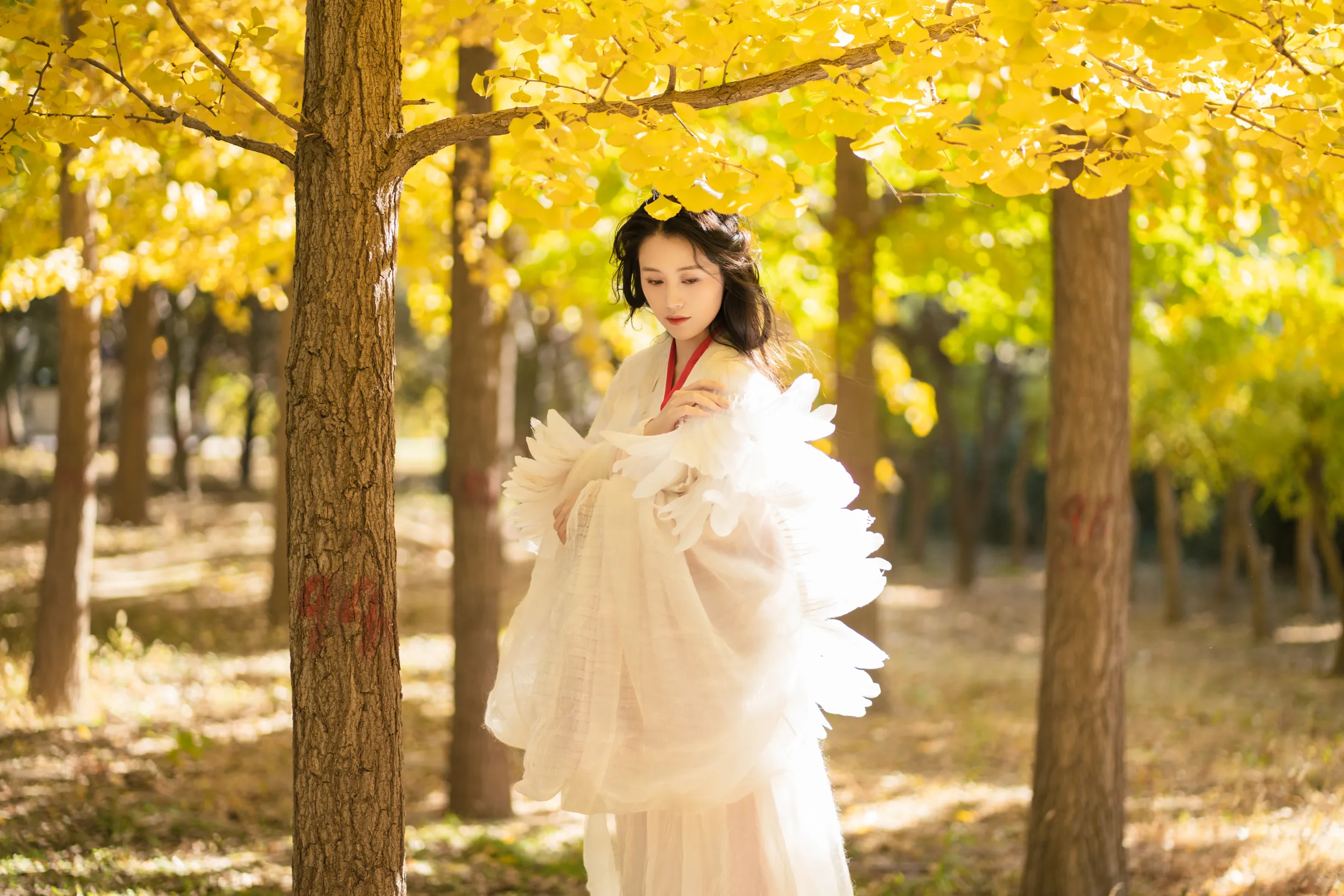 [艺图语] 2022.11.30 Vol.2568 – 银杏 青霜鹅#[26P]-17