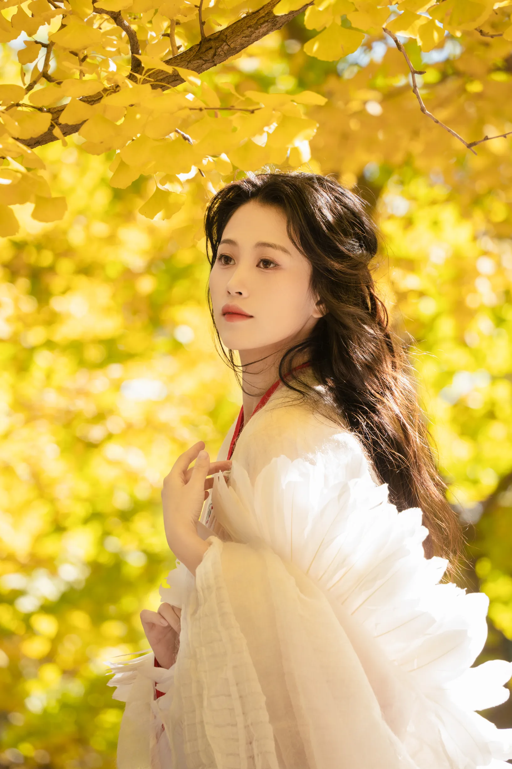 [艺图语] 2022.11.30 Vol.2568 – 银杏 青霜鹅#[26P]-18