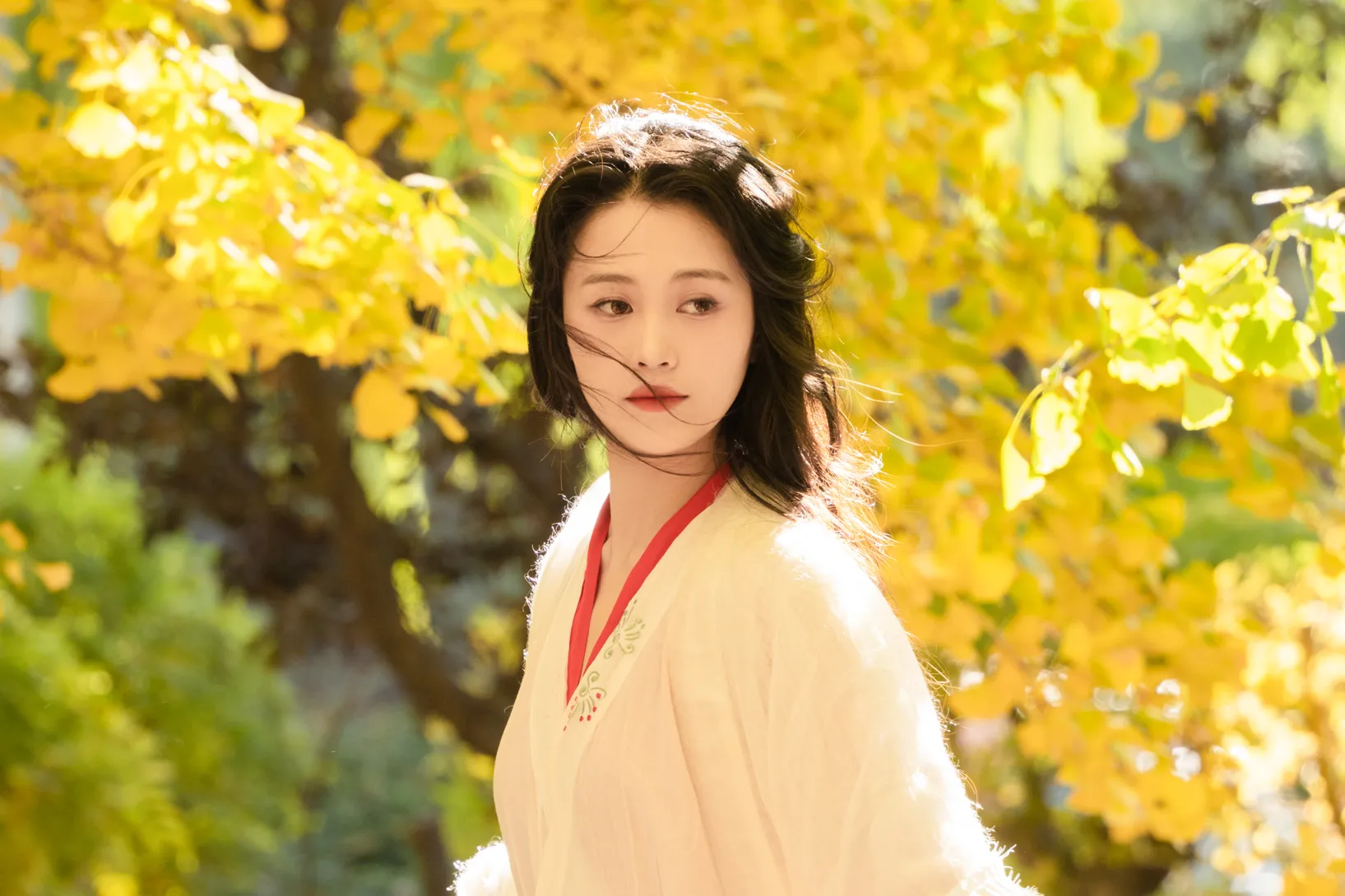 [艺图语] 2022.11.30 Vol.2568 – 银杏 青霜鹅#[26P]-19
