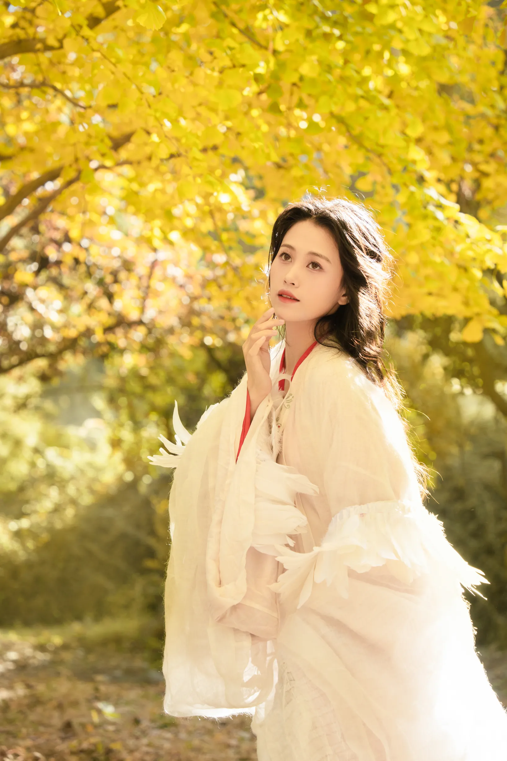 [艺图语] 2022.11.30 Vol.2568 – 银杏 青霜鹅#[26P]-20