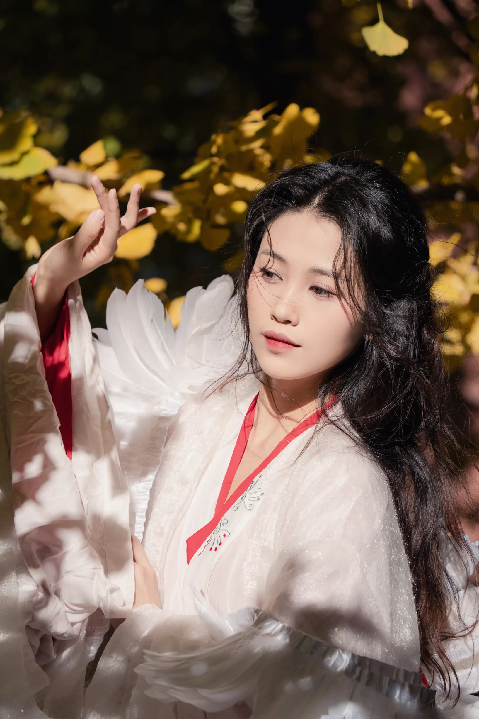 [艺图语] 2022.11.30 Vol.2568 – 银杏 青霜鹅#[26P]-21