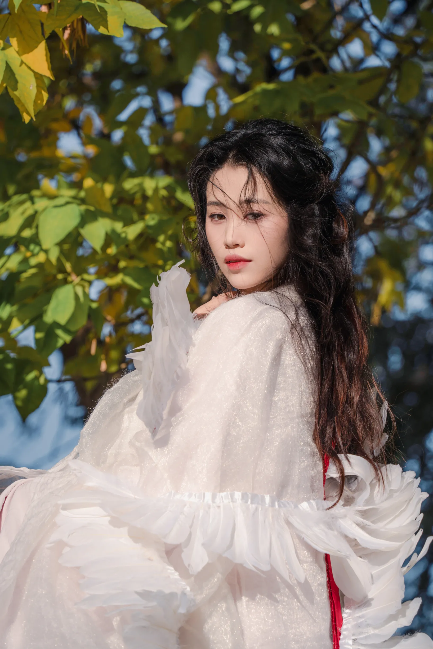 [艺图语] 2022.11.30 Vol.2568 – 银杏 青霜鹅#[26P]-23