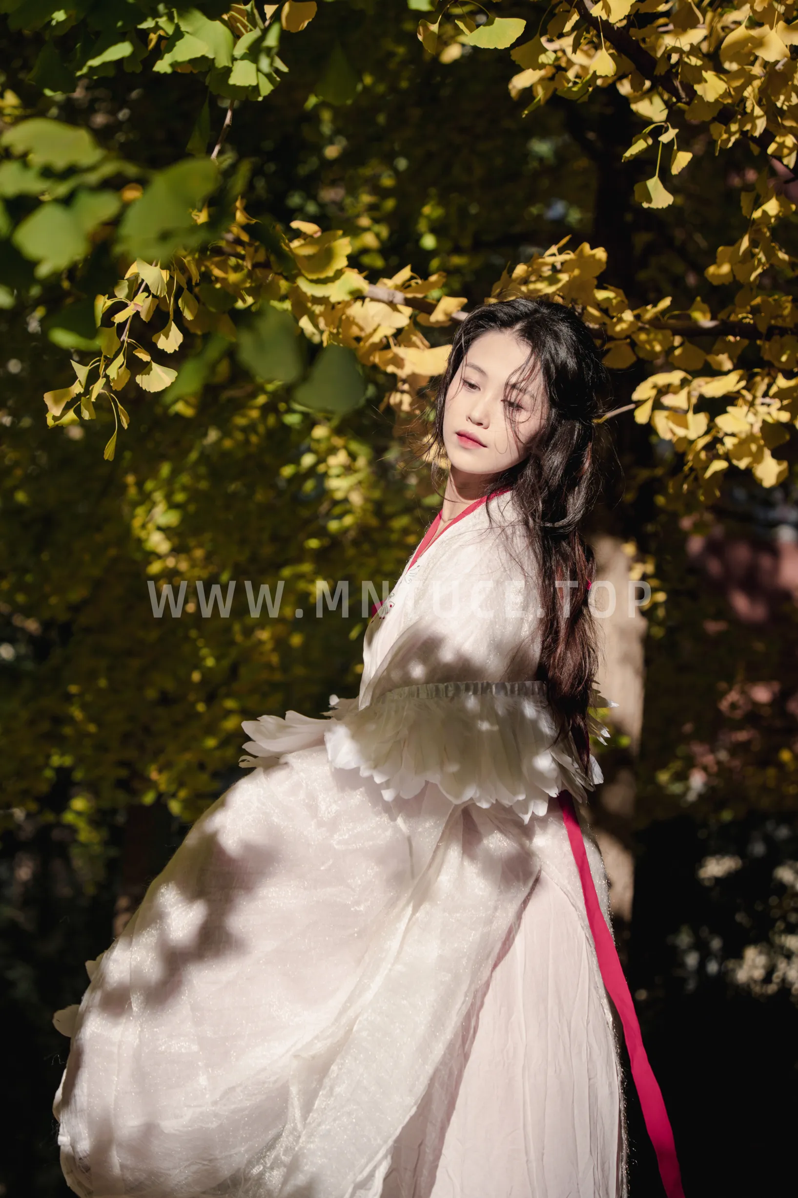 [艺图语] 2022.11.30 Vol.2568 – 银杏 青霜鹅#[26P]-25