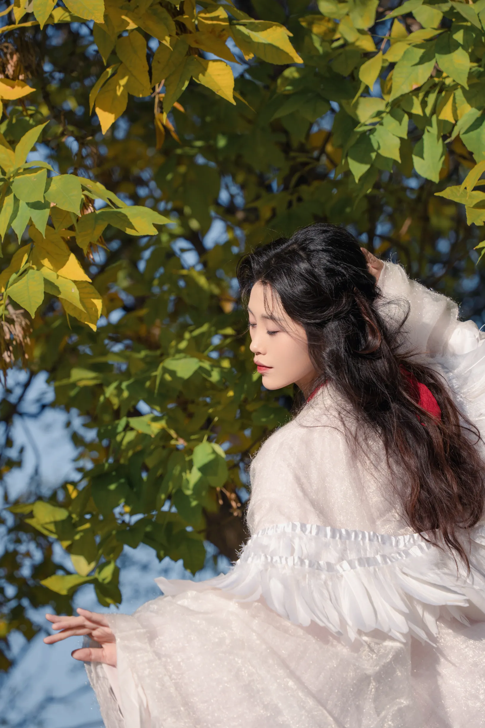 [艺图语] 2022.11.30 Vol.2568 – 银杏 青霜鹅#[26P]-26