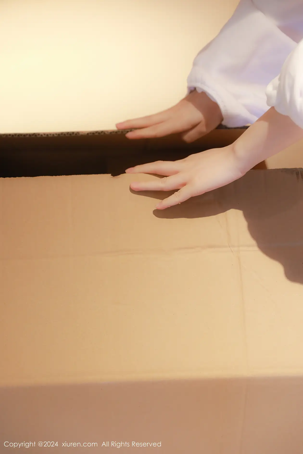 [秀人网] 2024.01.31 NO.8044 小薯条nienie#[75P]-11