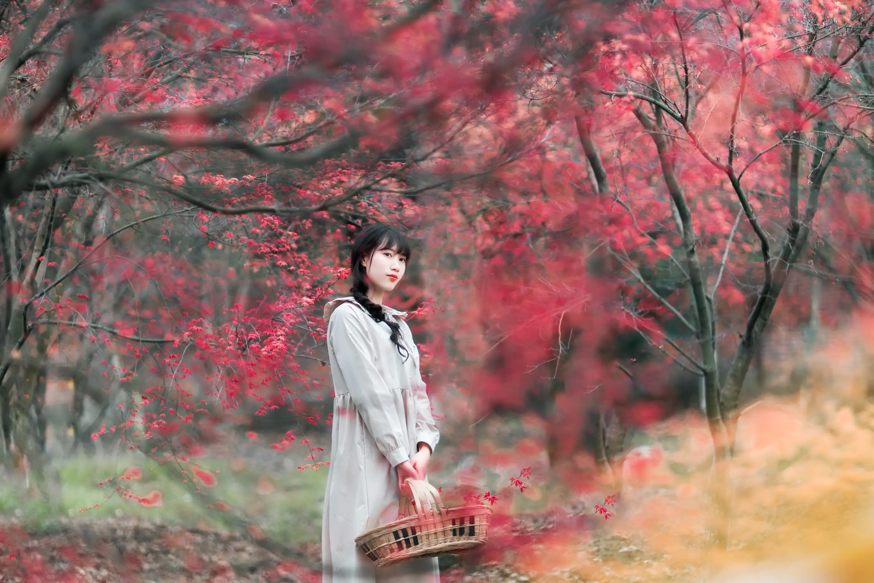 [艺图语] 2021.12.23 Vol.521 – 枫林春晓 初茶#[39P]-11