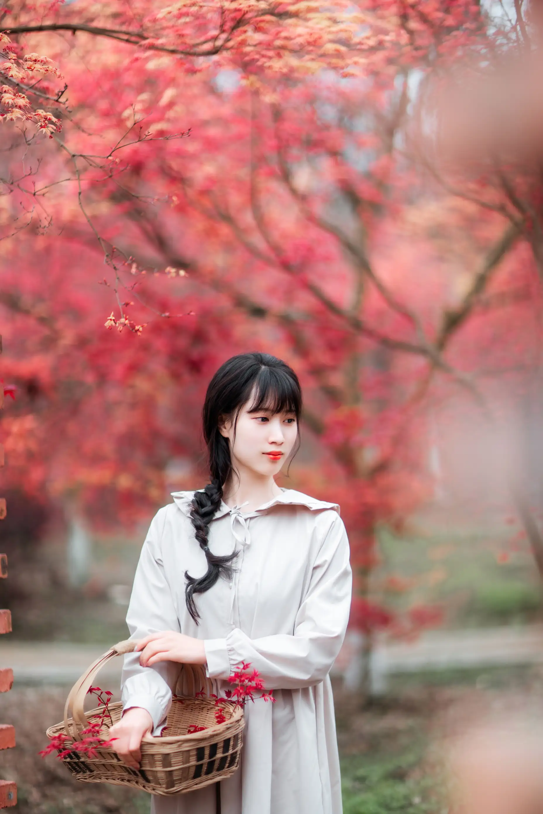 [艺图语] 2021.12.23 Vol.521 – 枫林春晓 初茶#[39P]-13
