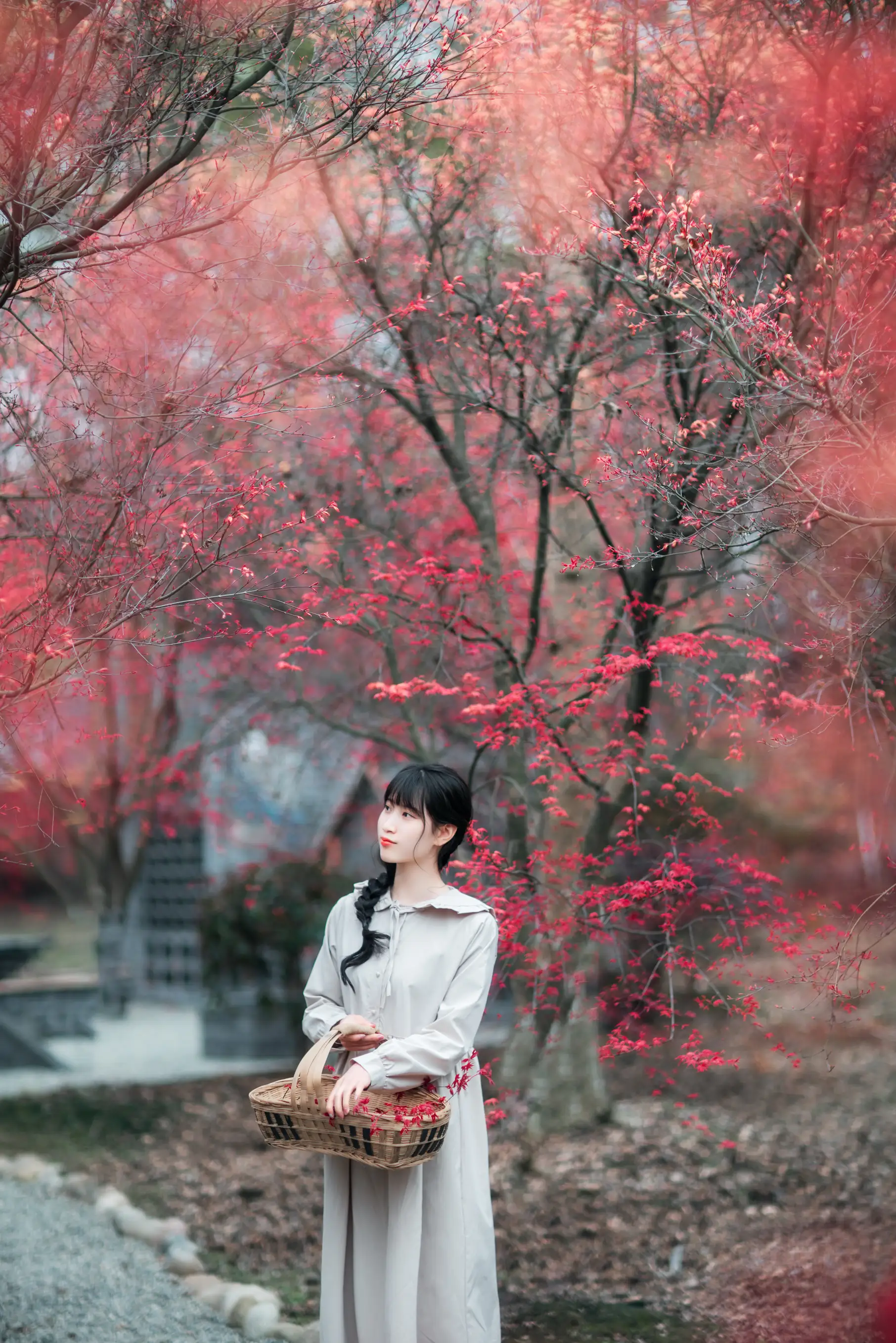 [艺图语] 2021.12.23 Vol.521 – 枫林春晓 初茶#[39P]-16