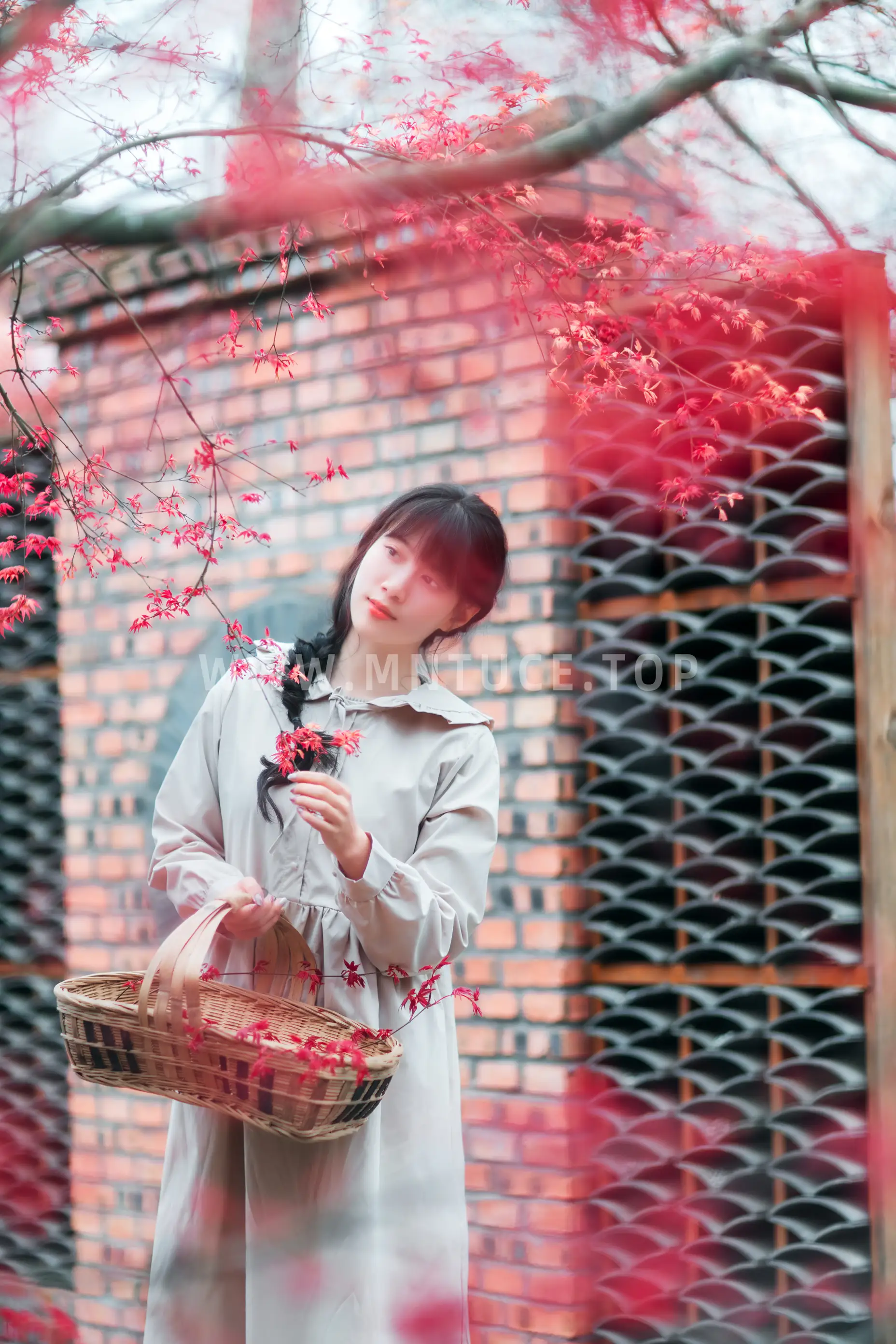 [艺图语] 2021.12.23 Vol.521 – 枫林春晓 初茶#[39P]-19