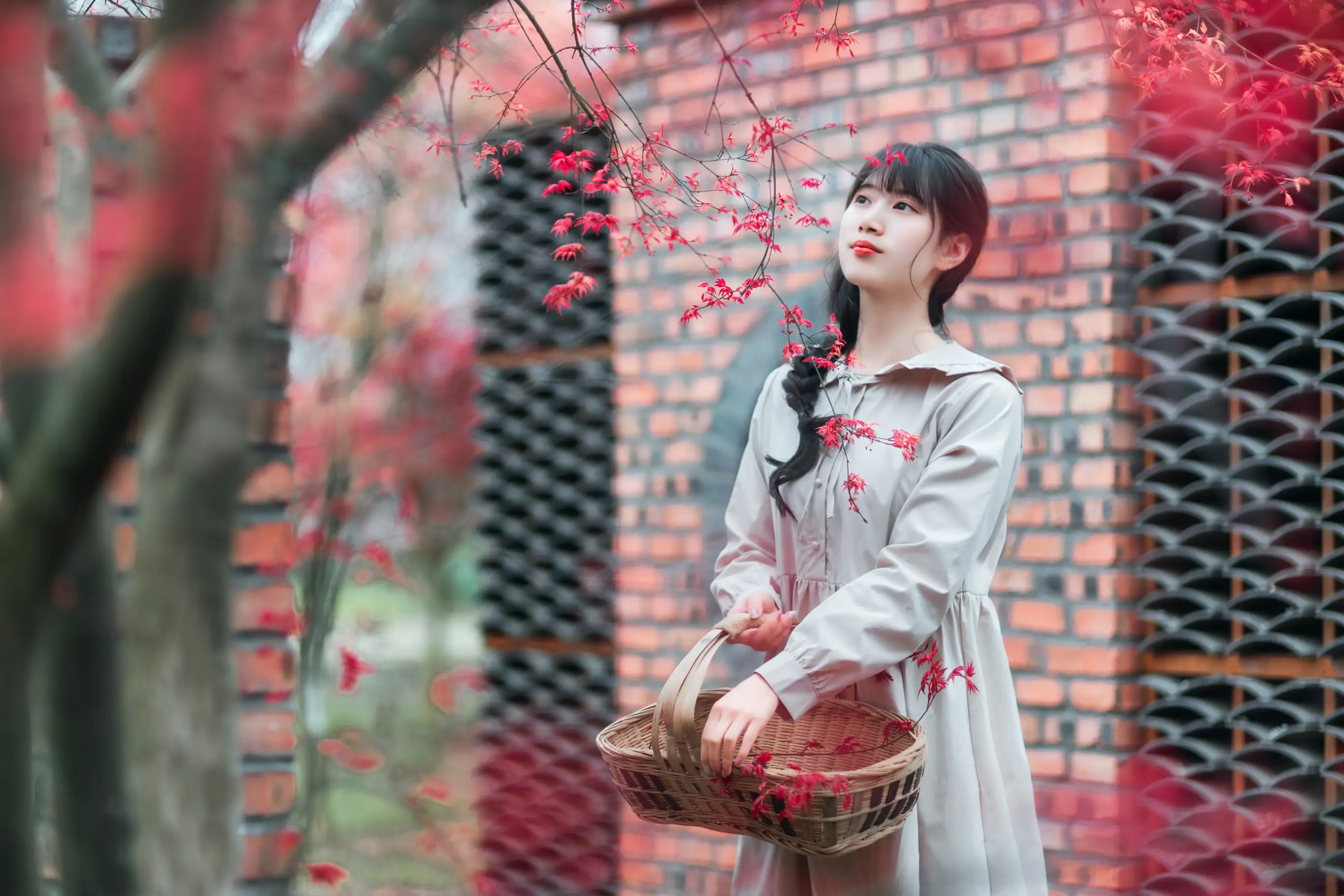 [艺图语] 2021.12.23 Vol.521 – 枫林春晓 初茶#[39P]-20