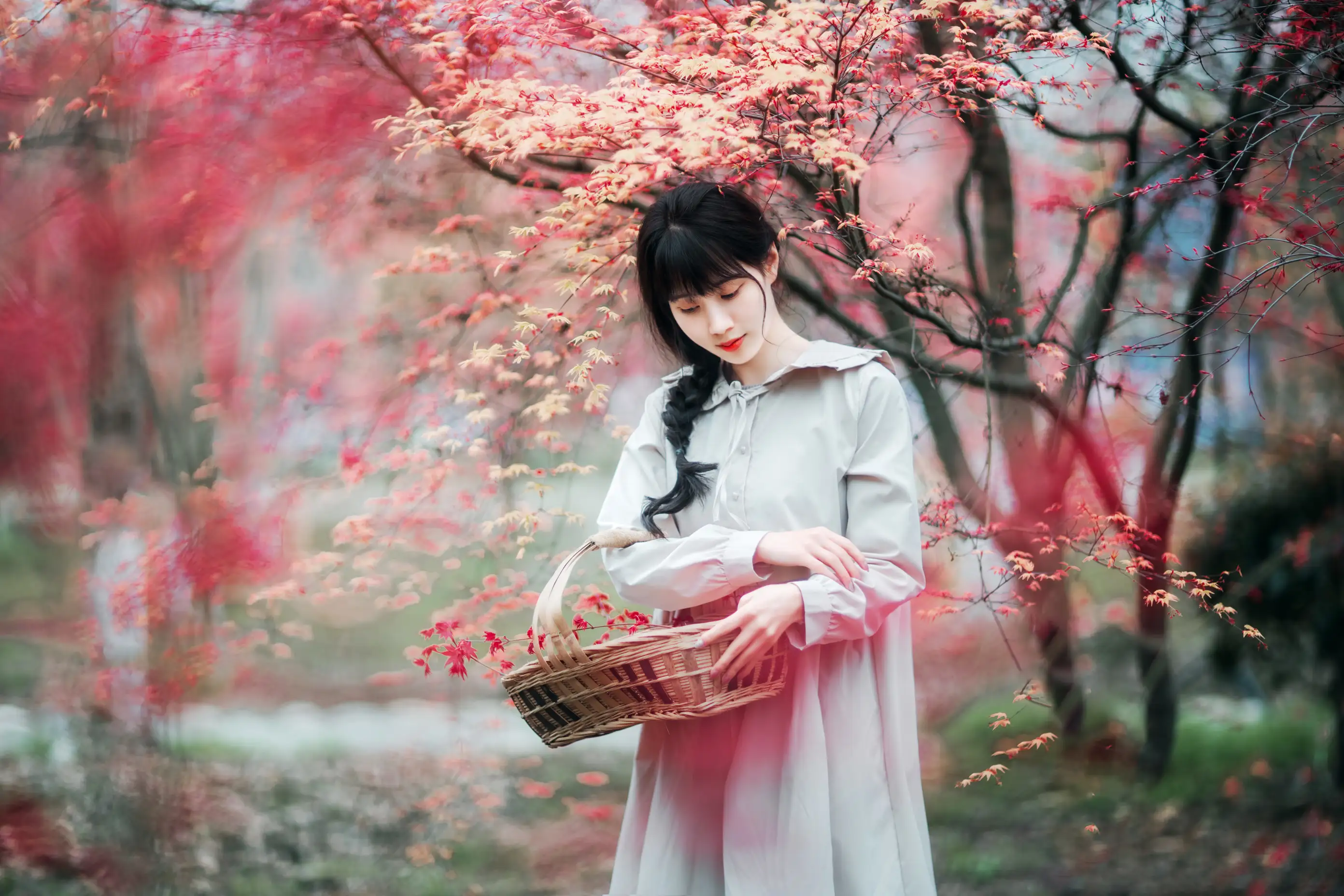 [艺图语] 2021.12.23 Vol.521 – 枫林春晓 初茶#[39P]-30