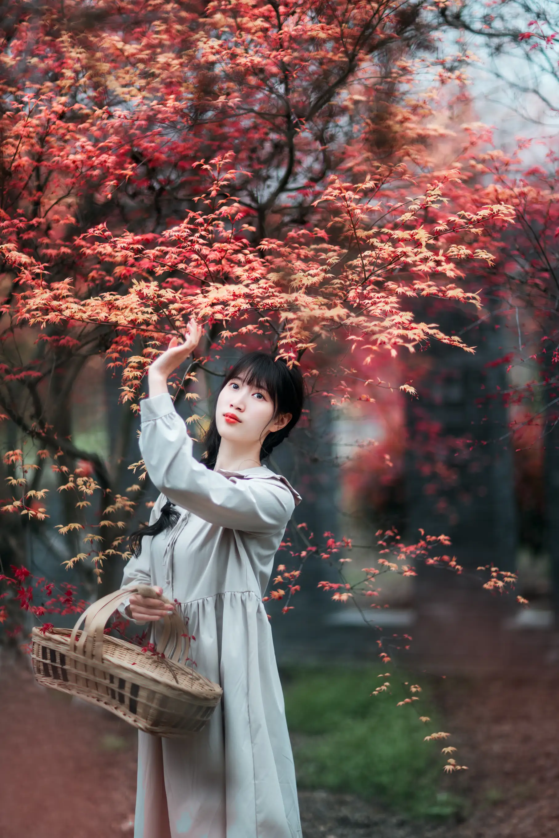 [艺图语] 2021.12.23 Vol.521 – 枫林春晓 初茶#[39P]-31