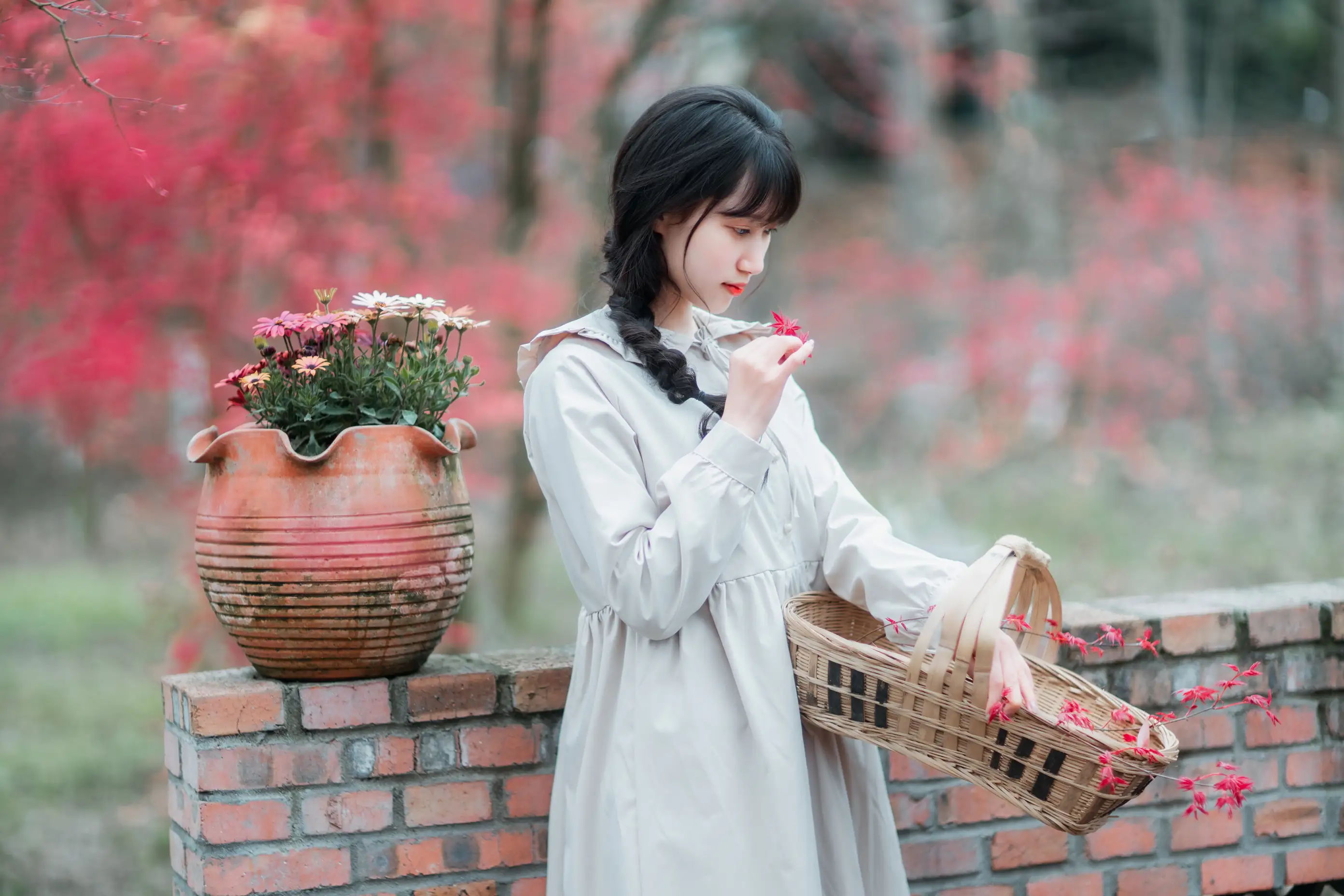 [艺图语] 2021.12.23 Vol.521 – 枫林春晓 初茶#[39P]-36
