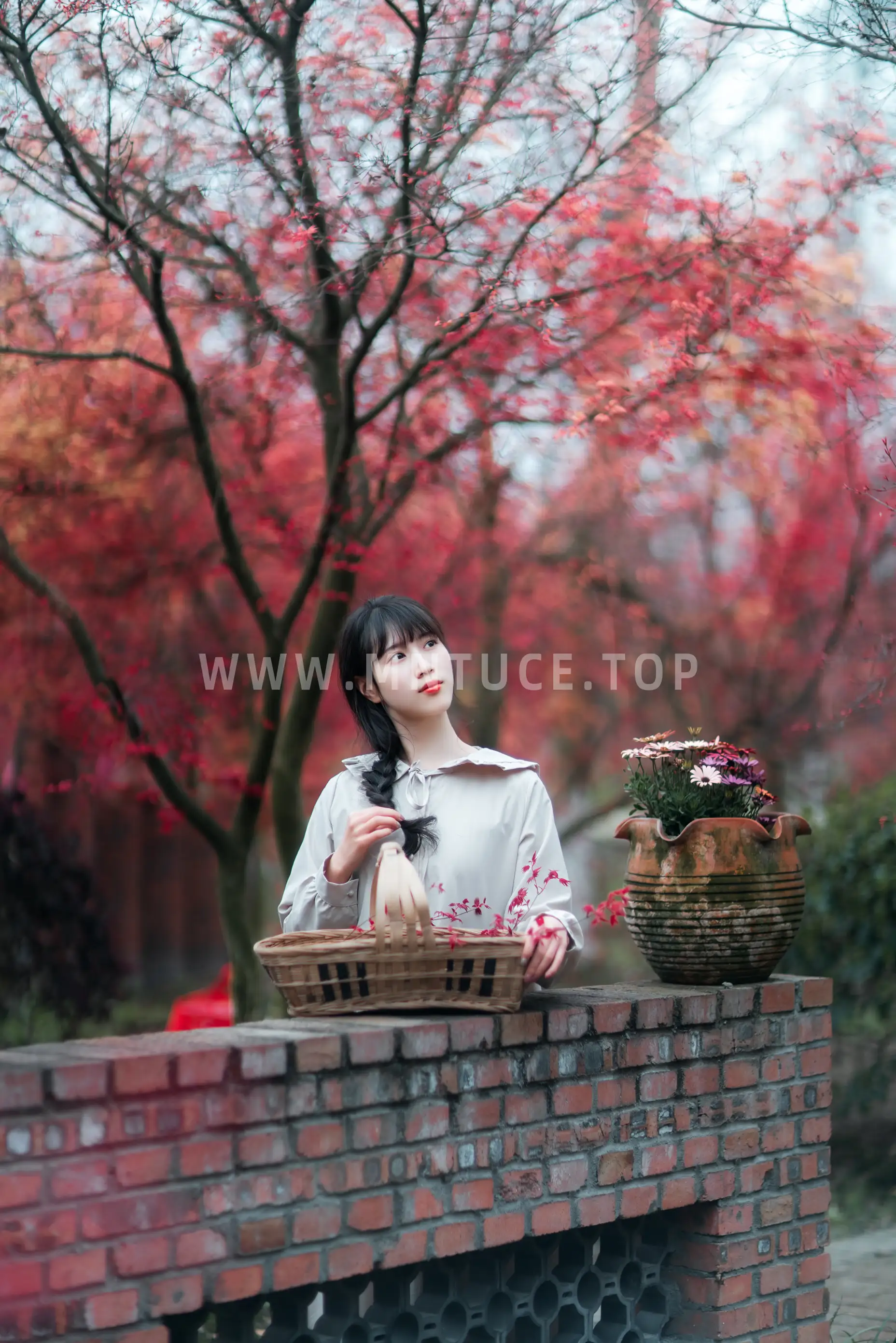 [艺图语] 2021.12.23 Vol.521 – 枫林春晓 初茶#[39P]-2