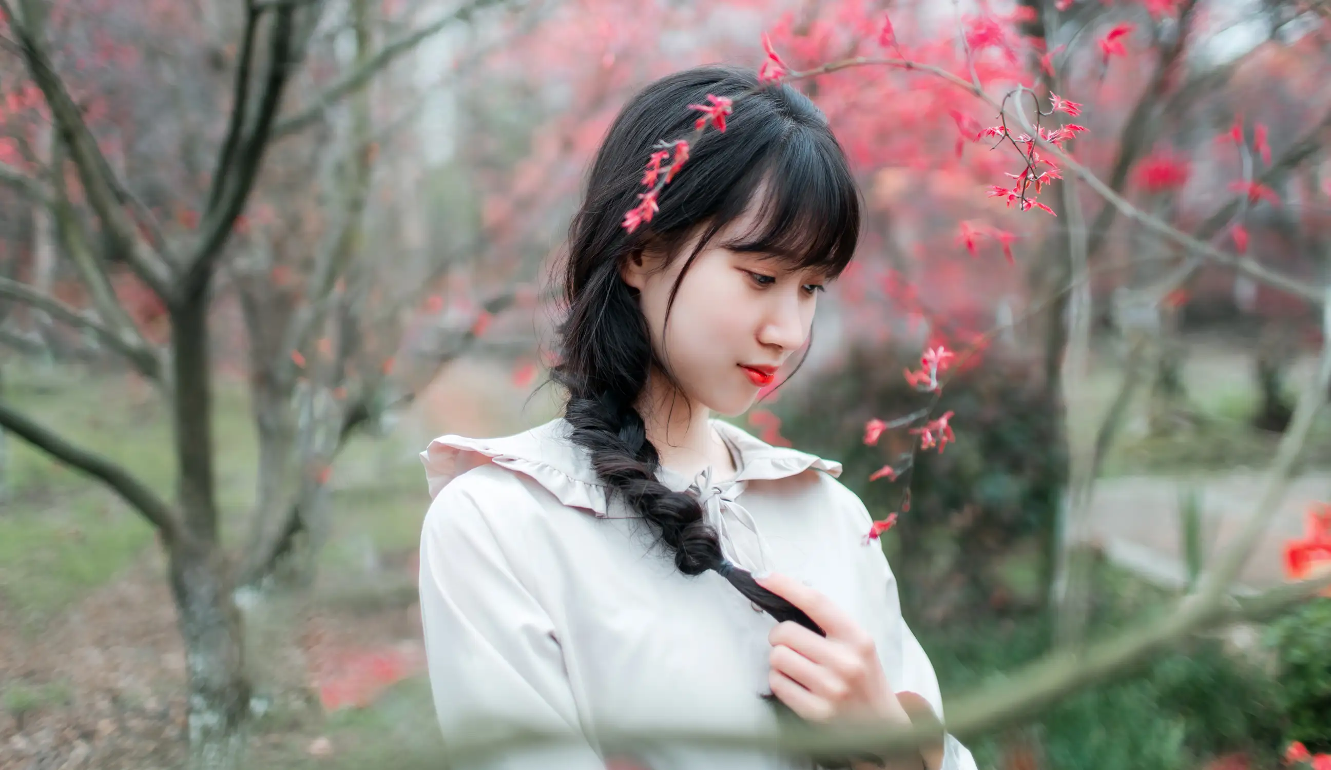 [艺图语] 2021.12.23 Vol.521 – 枫林春晓 初茶#[39P]-3