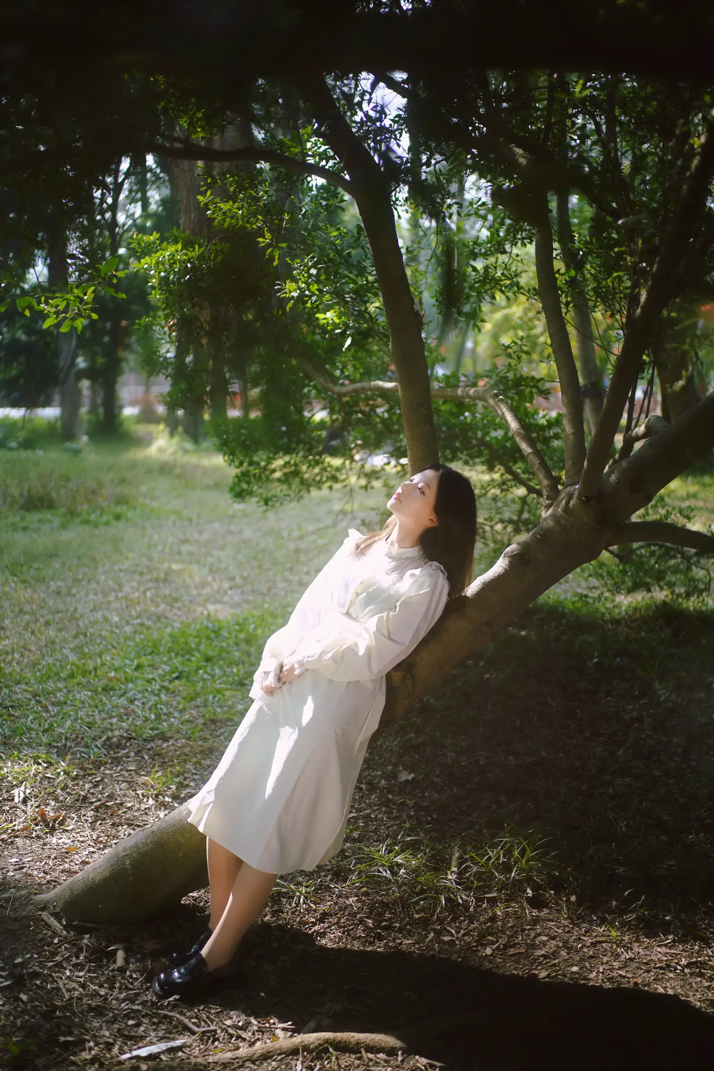 [艺图语] 2022.09.06 Vol.1884 – 森林的画框 张张#[29P]-16