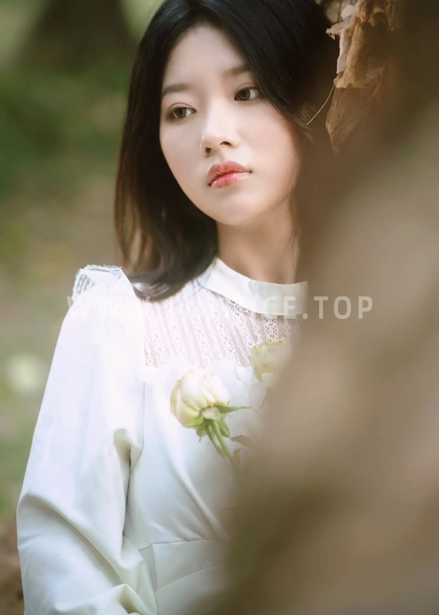 [艺图语] 2022.09.06 Vol.1884 – 森林的画框 张张#[29P]-18