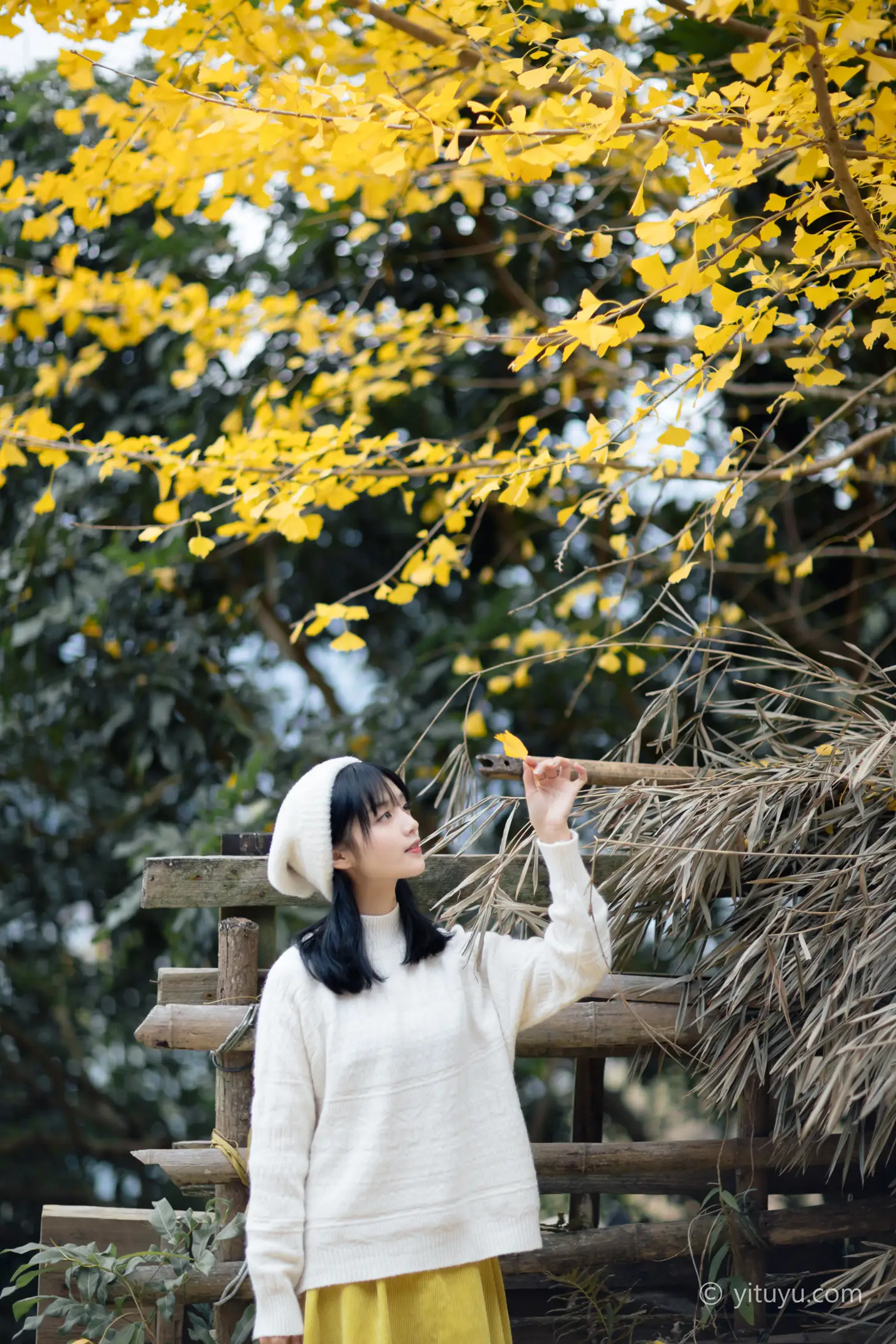 [艺图语] 2021.08.14 Vol.131 – 银杏之恋 雨文#[39P]-10