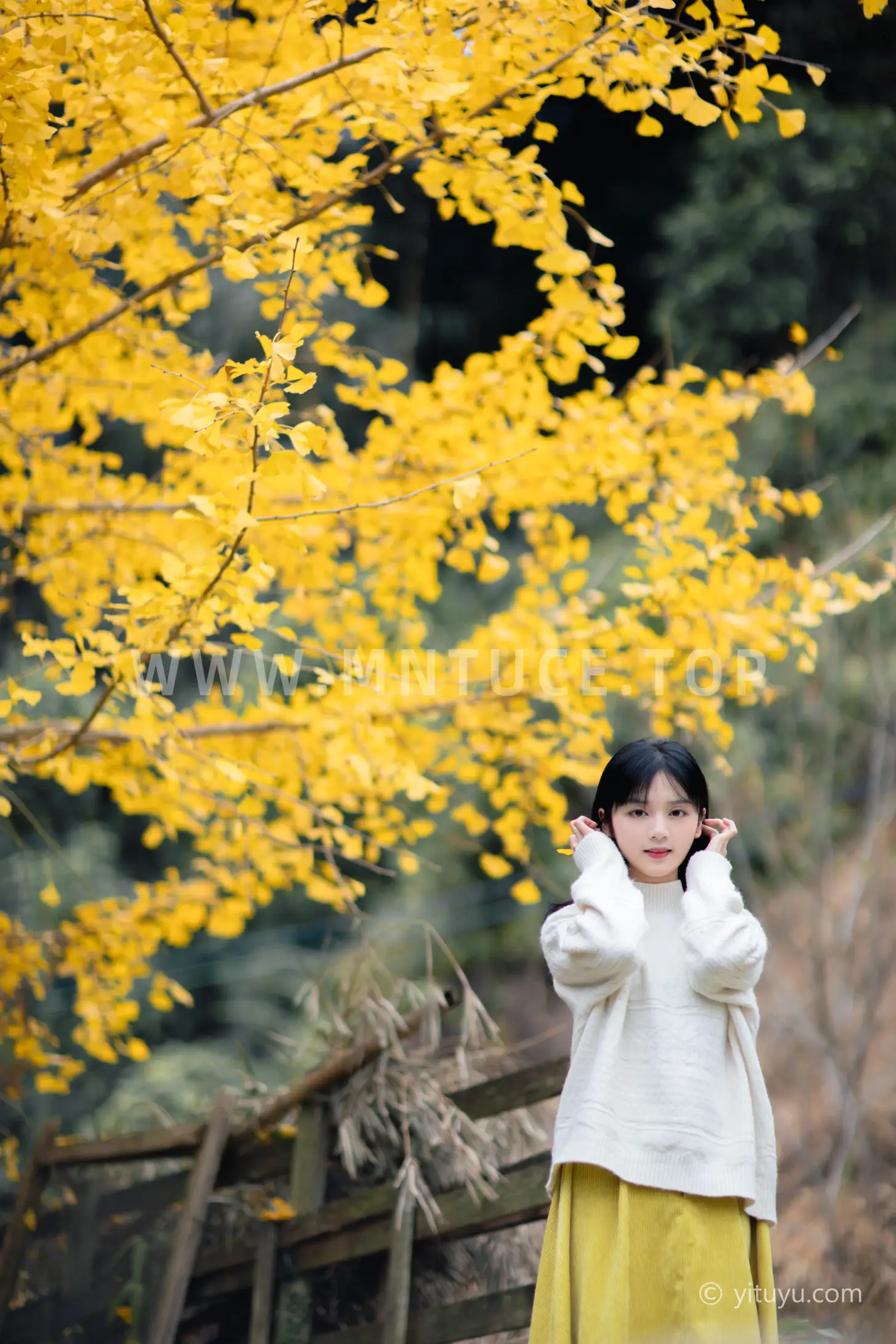 [艺图语] 2021.08.14 Vol.131 – 银杏之恋 雨文#[39P]-18