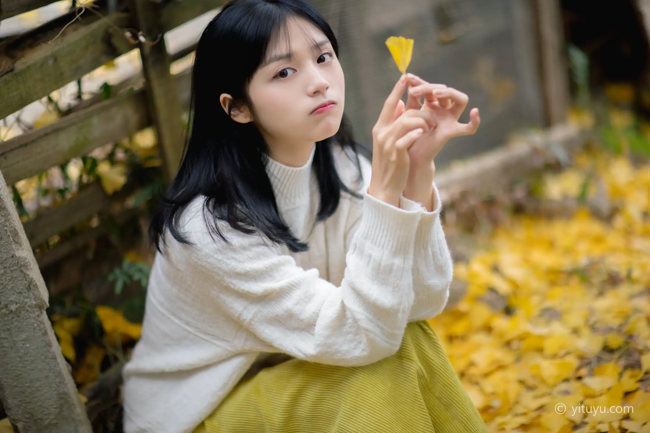 [艺图语] 2021.08.14 Vol.131 – 银杏之恋 雨文#[39P]-19