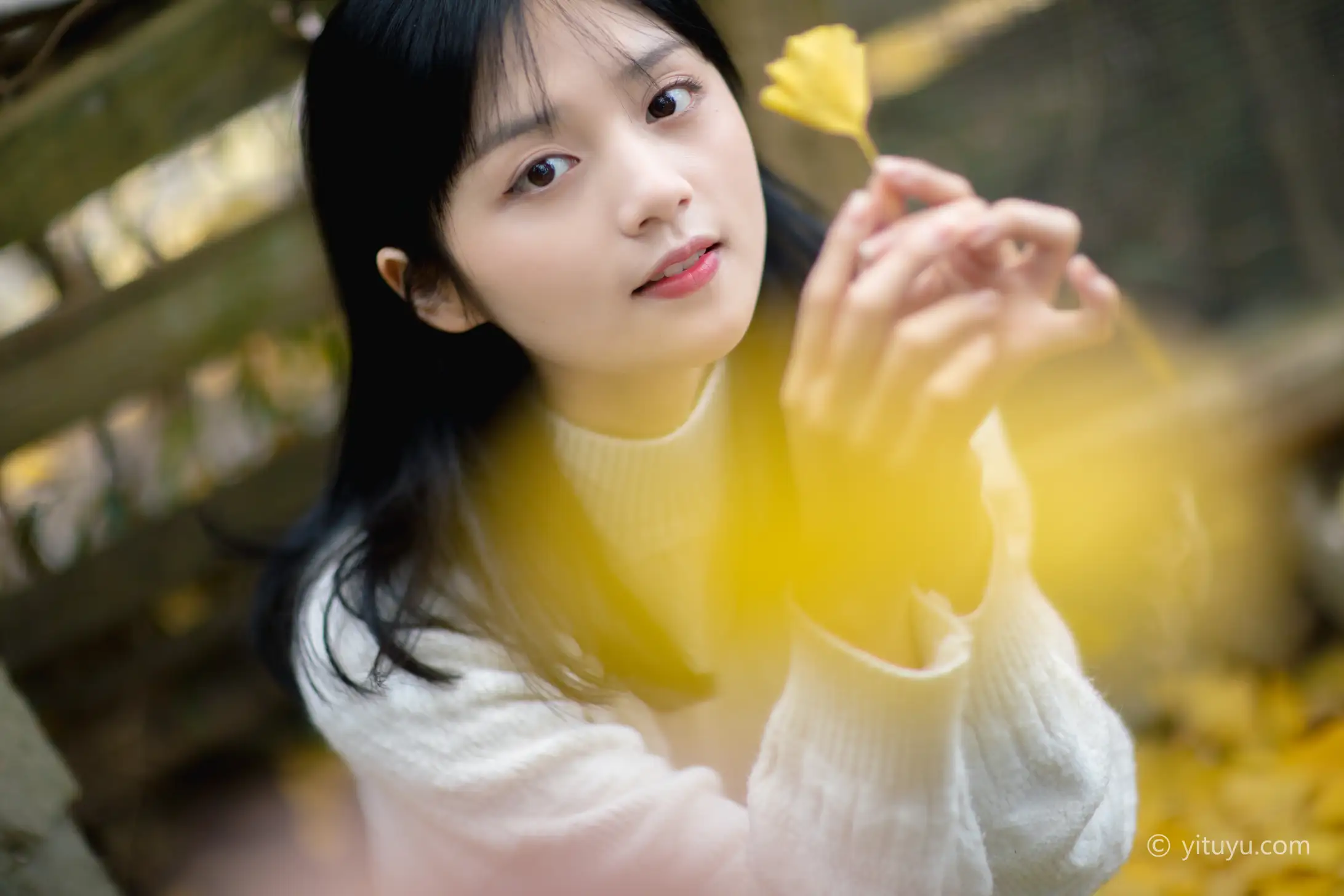 [艺图语] 2021.08.14 Vol.131 – 银杏之恋 雨文#[39P]-26