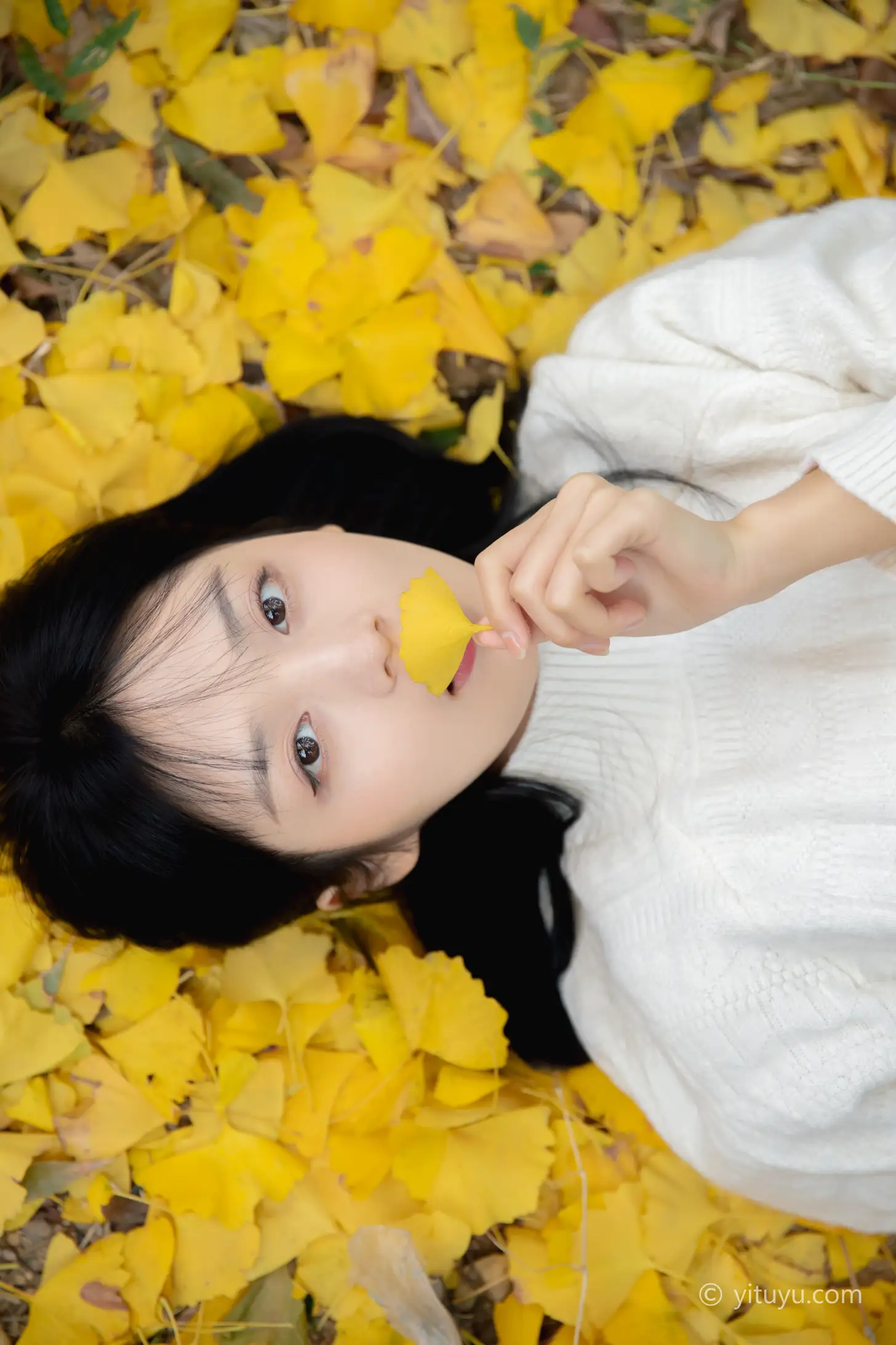 [艺图语] 2021.08.14 Vol.131 – 银杏之恋 雨文#[39P]-27