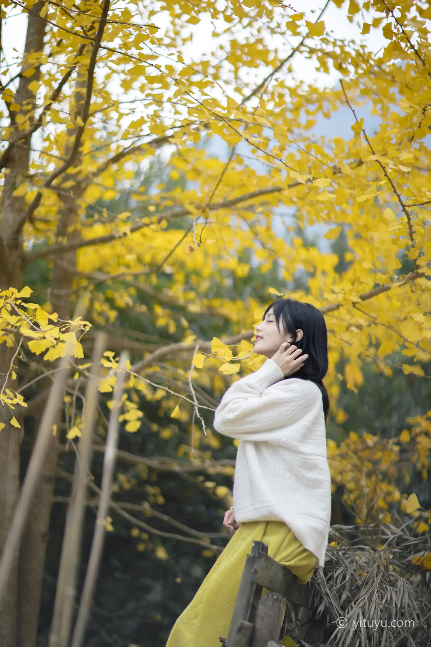 [艺图语] 2021.08.14 Vol.131 – 银杏之恋 雨文#[39P]-32