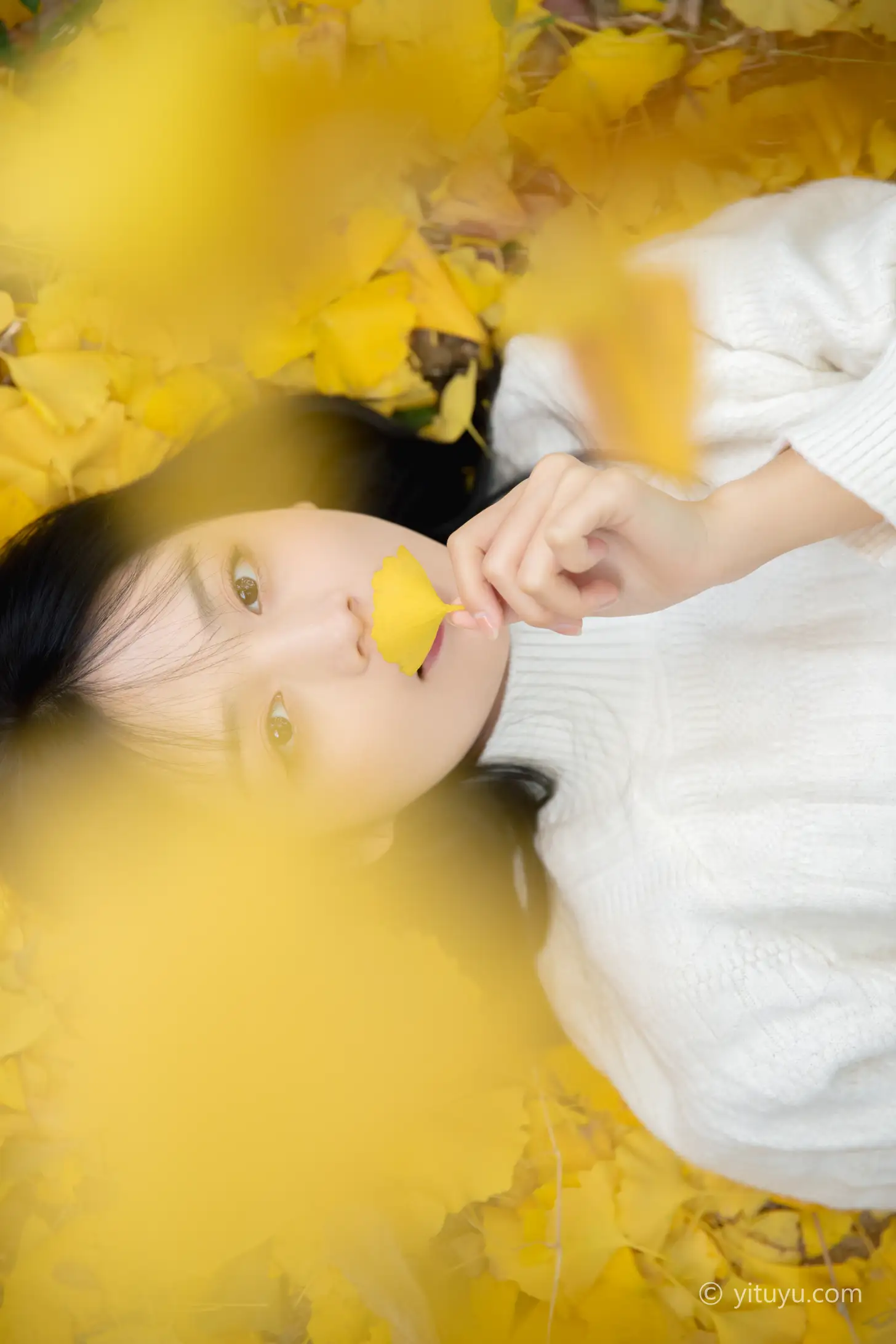 [艺图语] 2021.08.14 Vol.131 – 银杏之恋 雨文#[39P]-33