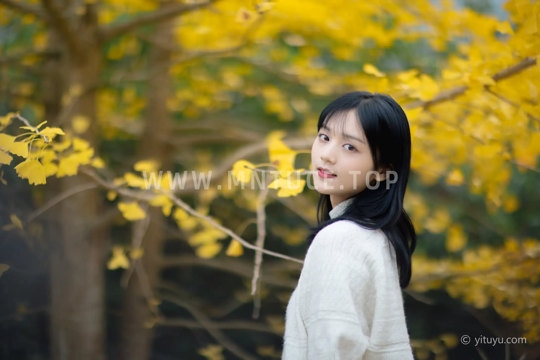[艺图语] 2021.08.14 Vol.131 – 银杏之恋 雨文#[39P]-36