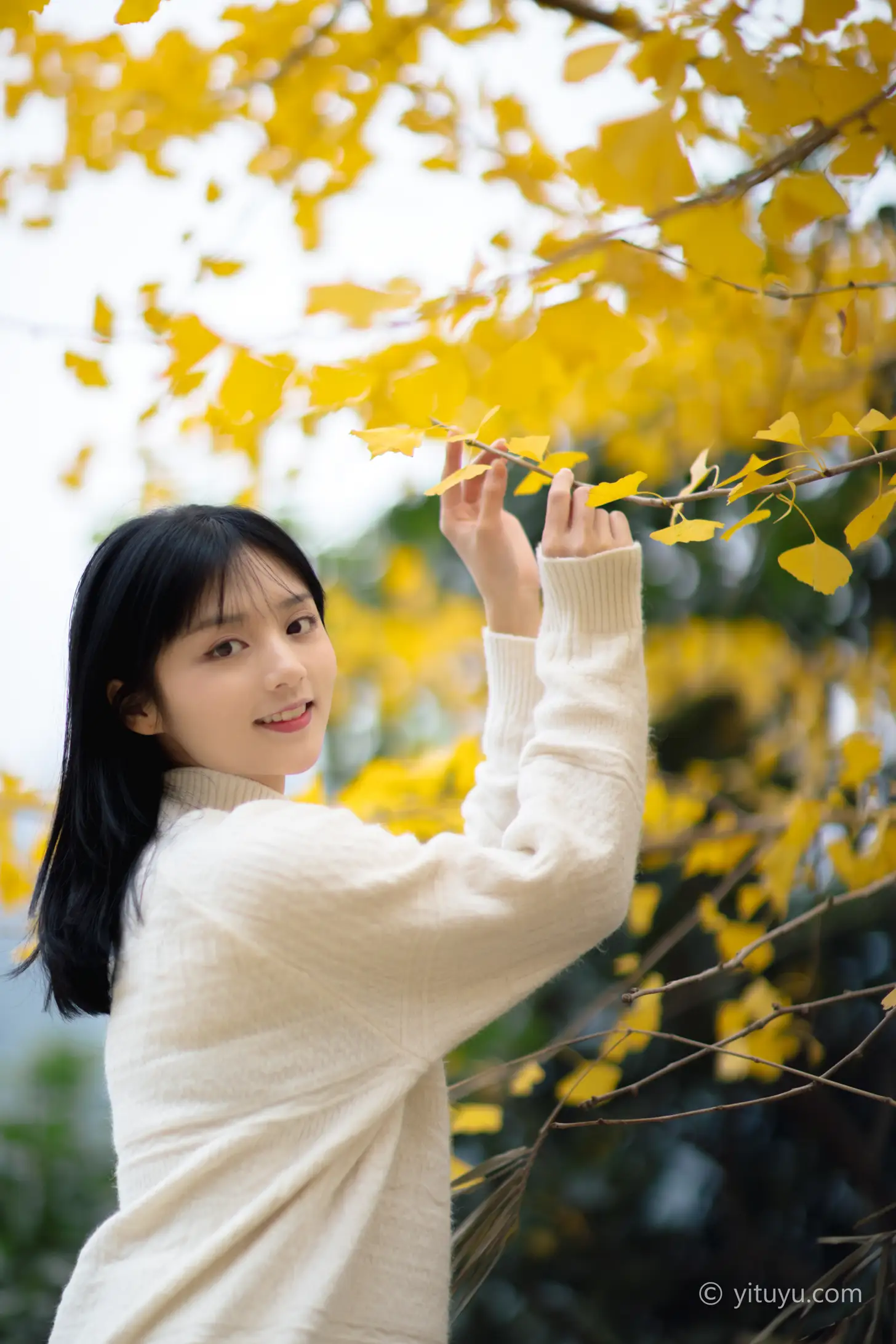 [艺图语] 2021.08.14 Vol.131 – 银杏之恋 雨文#[39P]-1