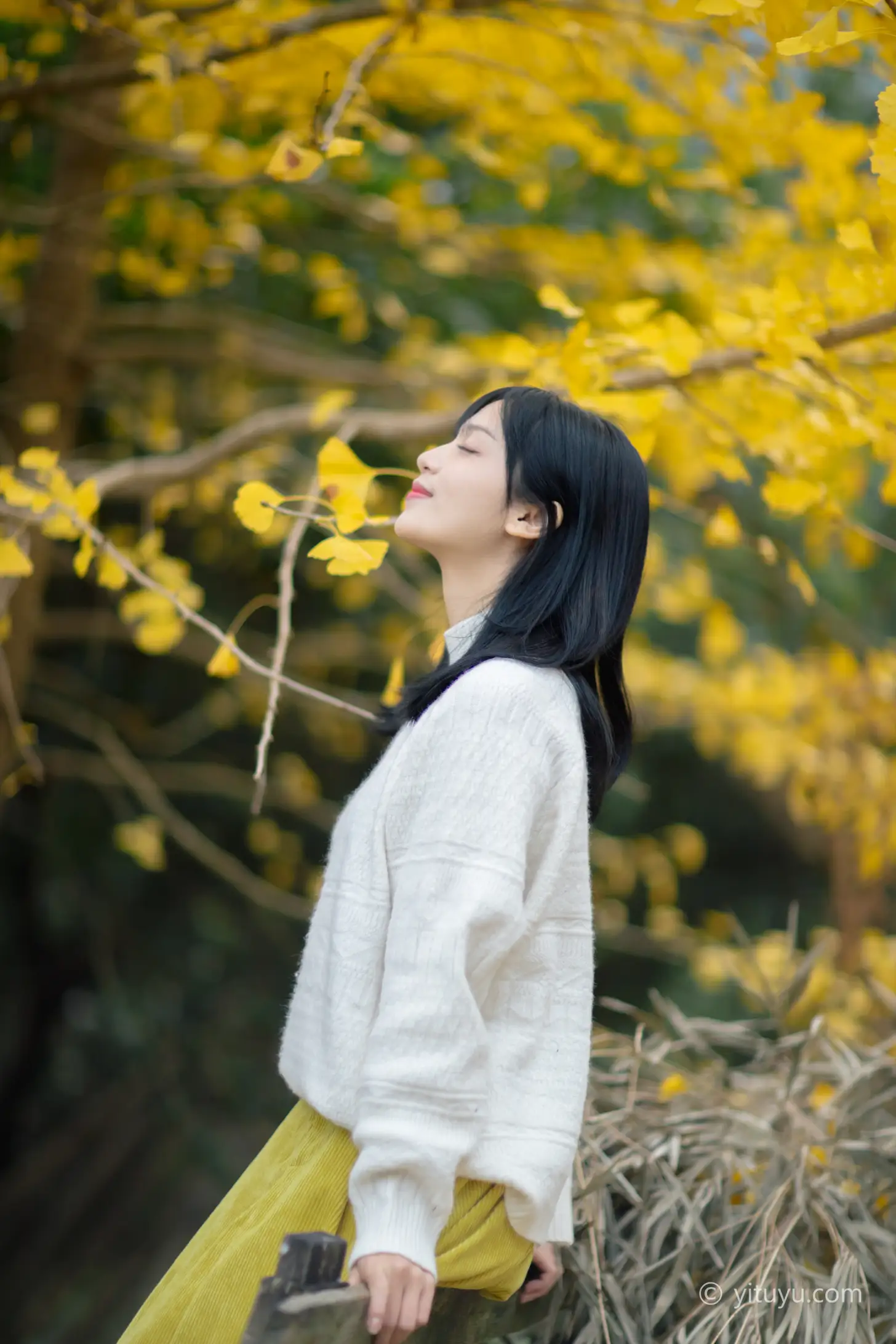[艺图语] 2021.08.14 Vol.131 – 银杏之恋 雨文#[39P]-3